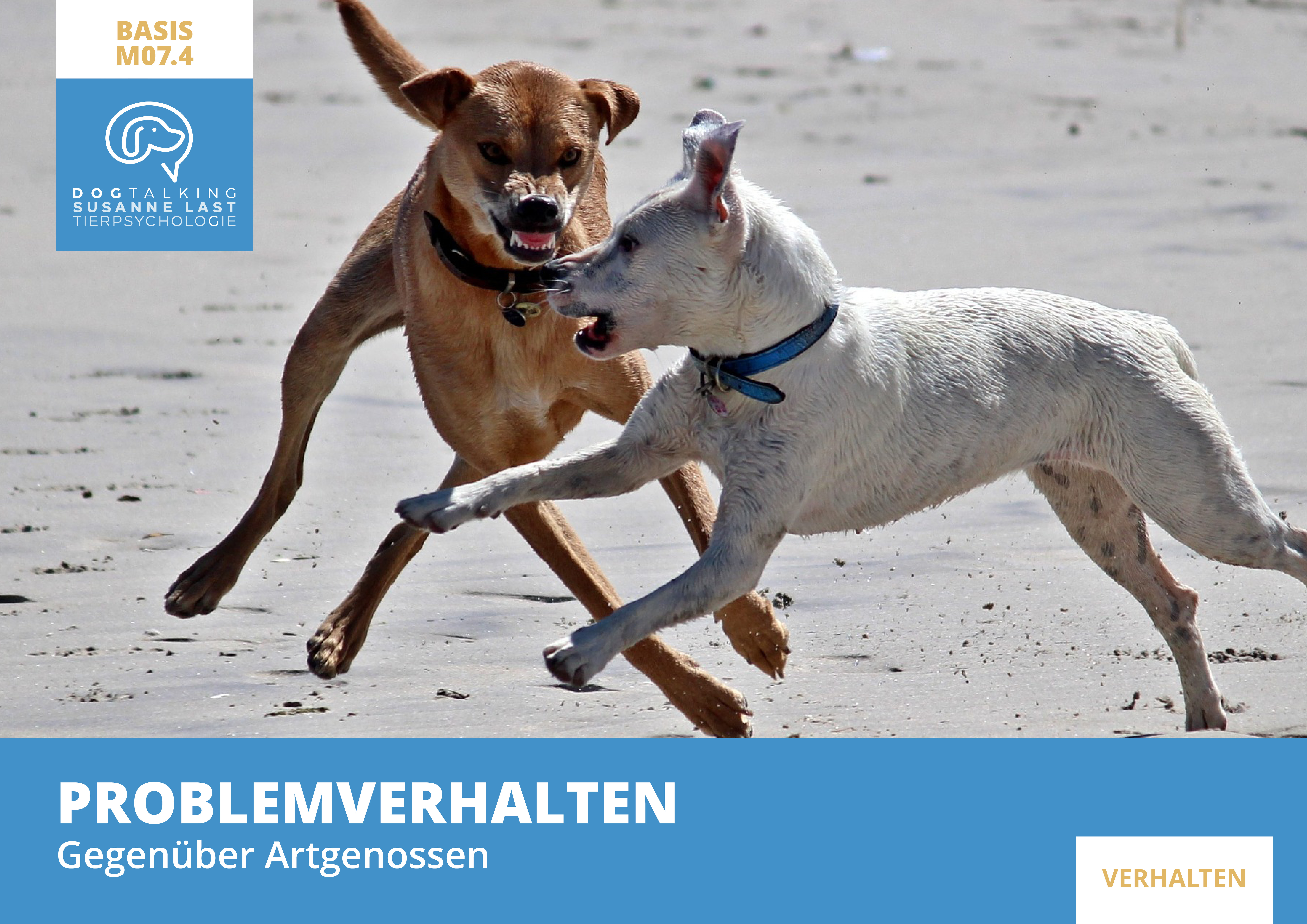 M07.4 Problemverhalten gegenüber Artgenossen