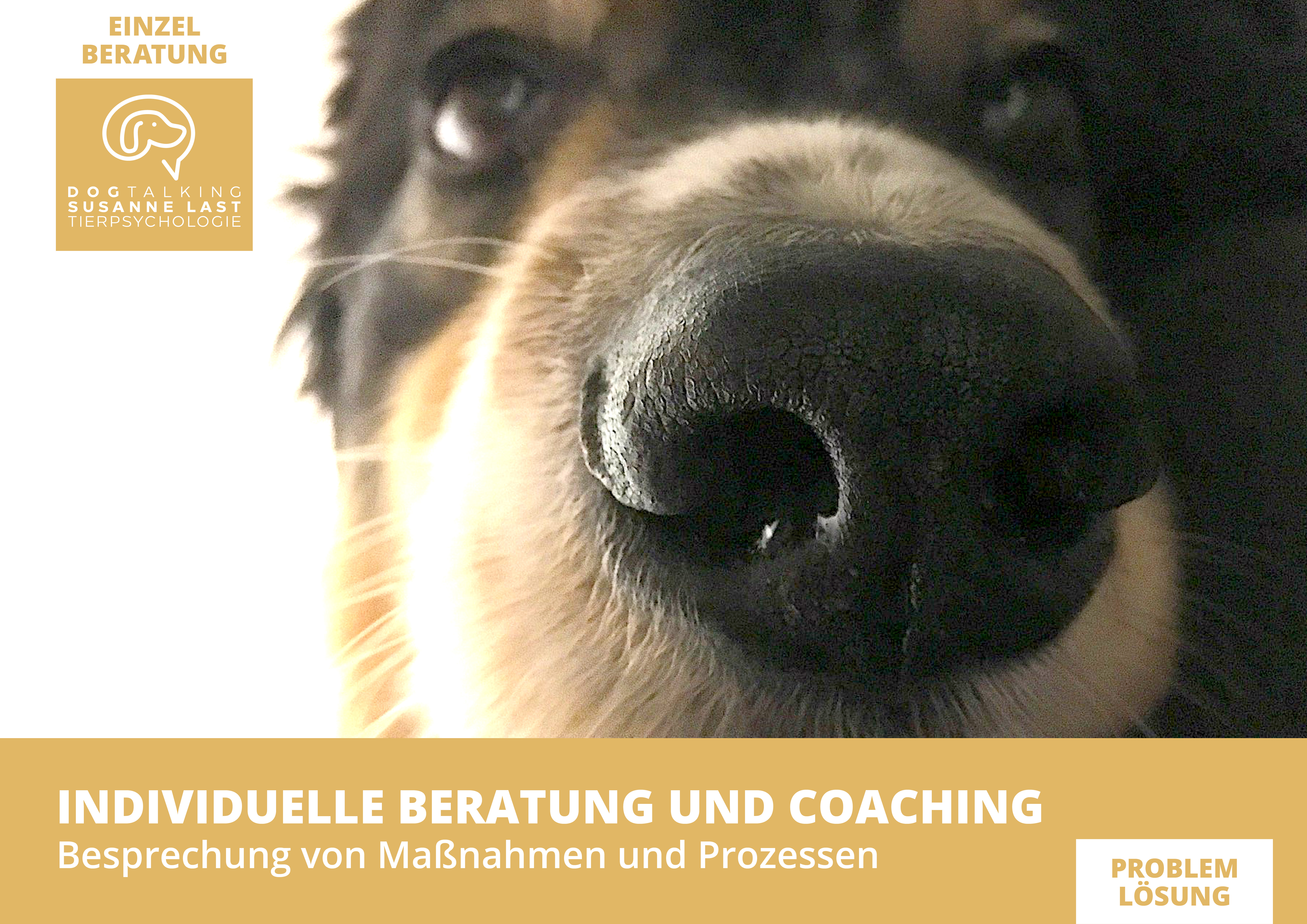 15 Min.- Einheit individuelle Beratung und Coaching