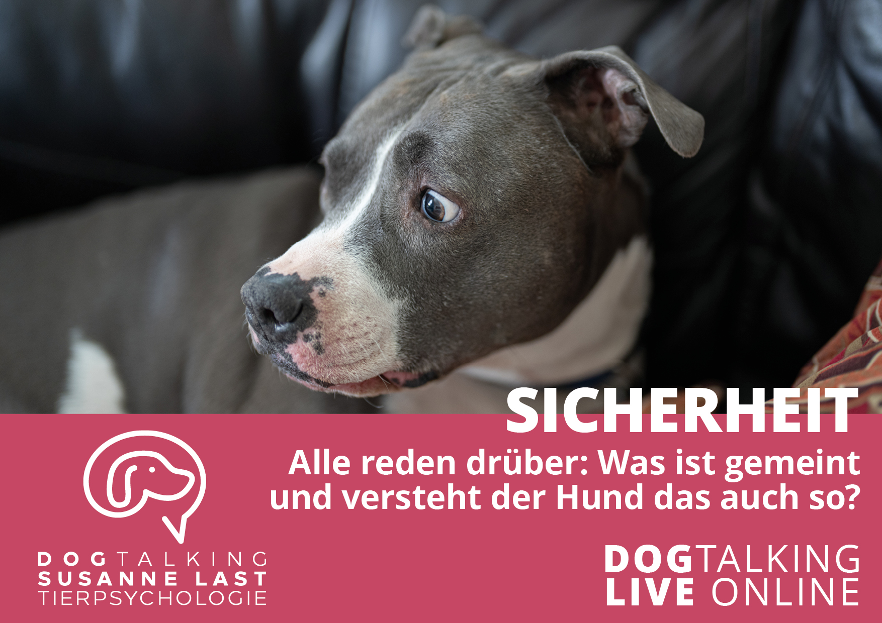 Sicherheit -  Alle reden drüber: Was ist gemeint und versteht der Hund das auch so?