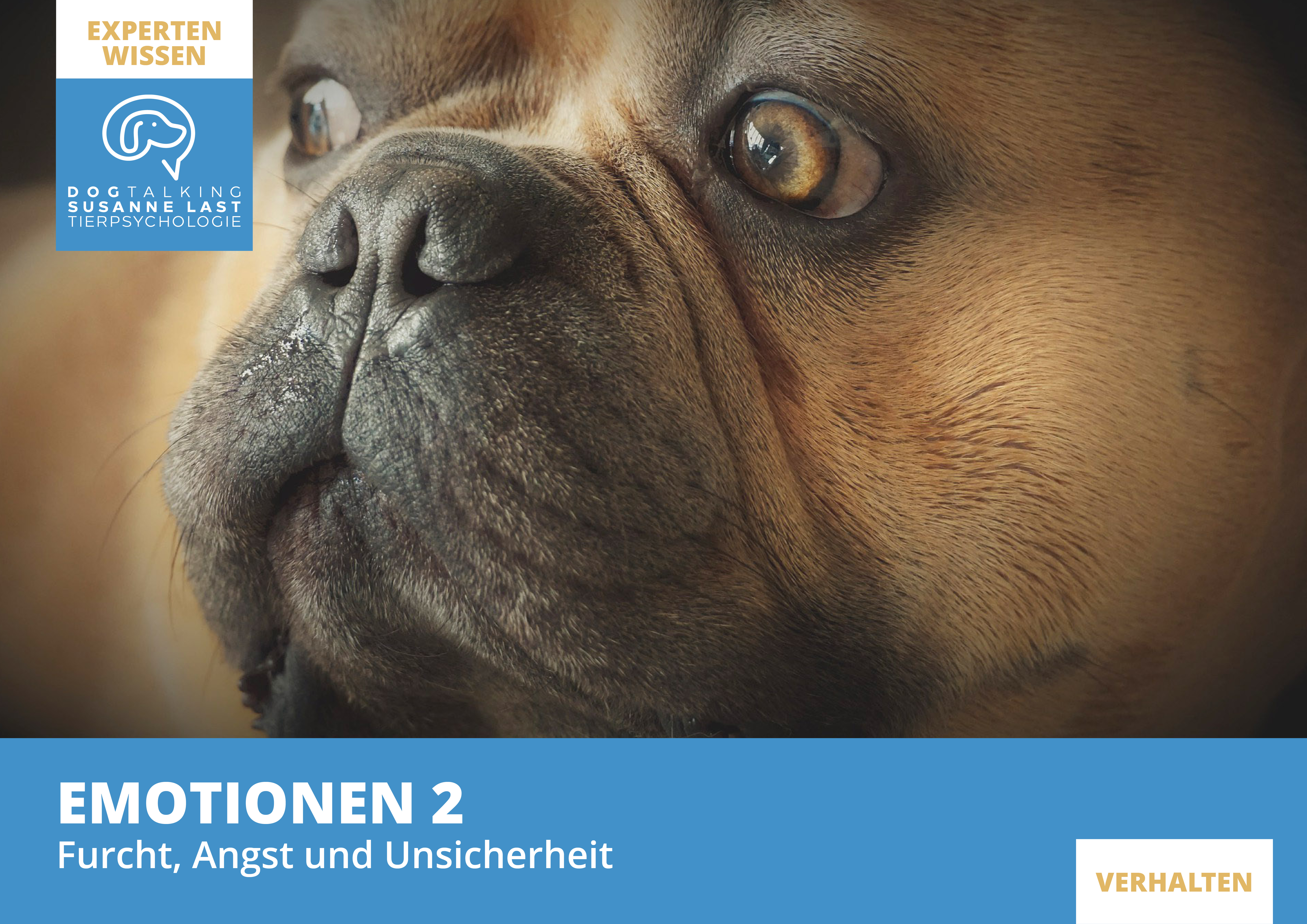 Emotionen 2: Furcht, Angst und Unsicherheit
