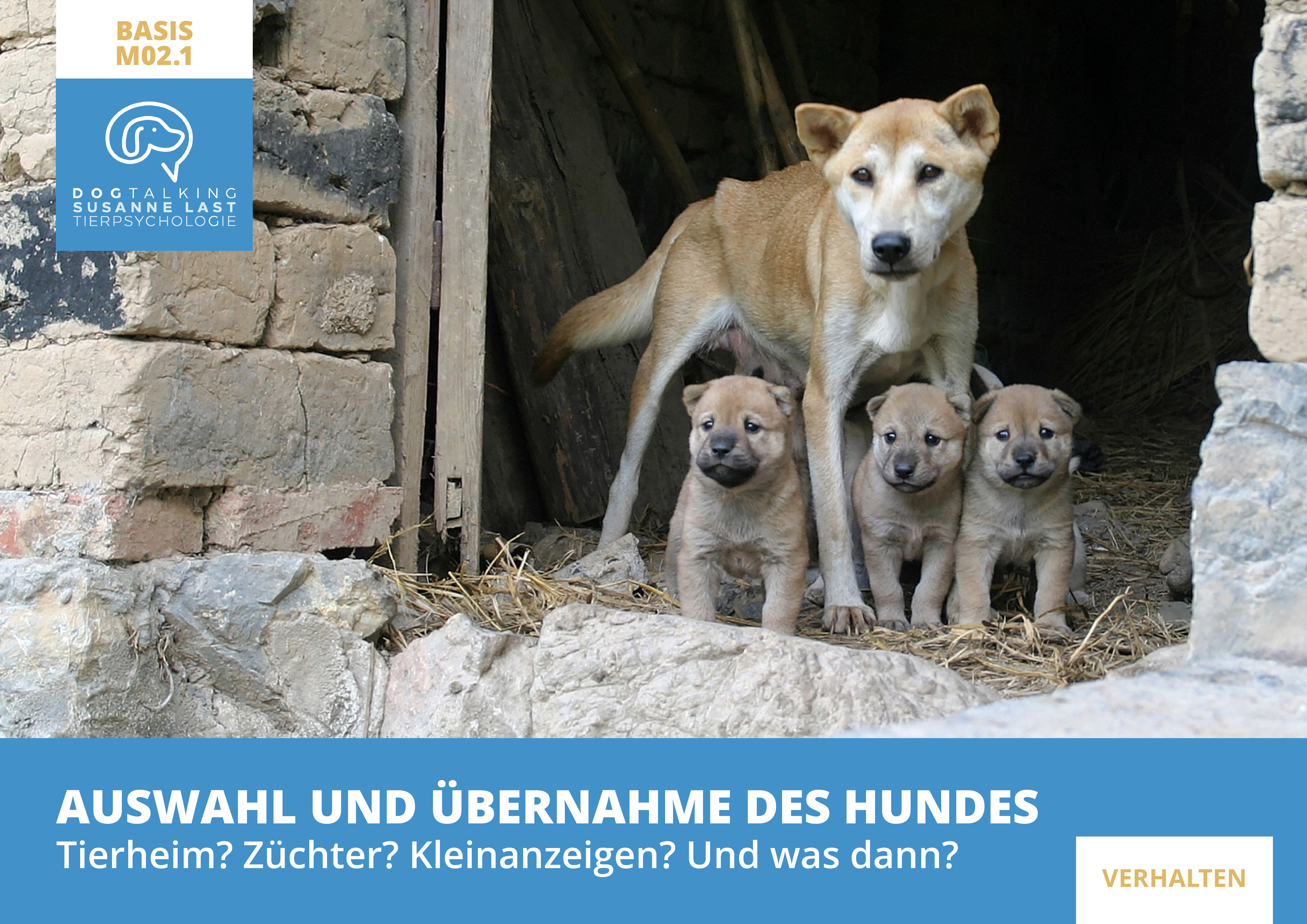 M02.1 Auswahl und Übernahme des Hundes - Tierheim? Züchter? Kleinanzeigen? Und was dann?