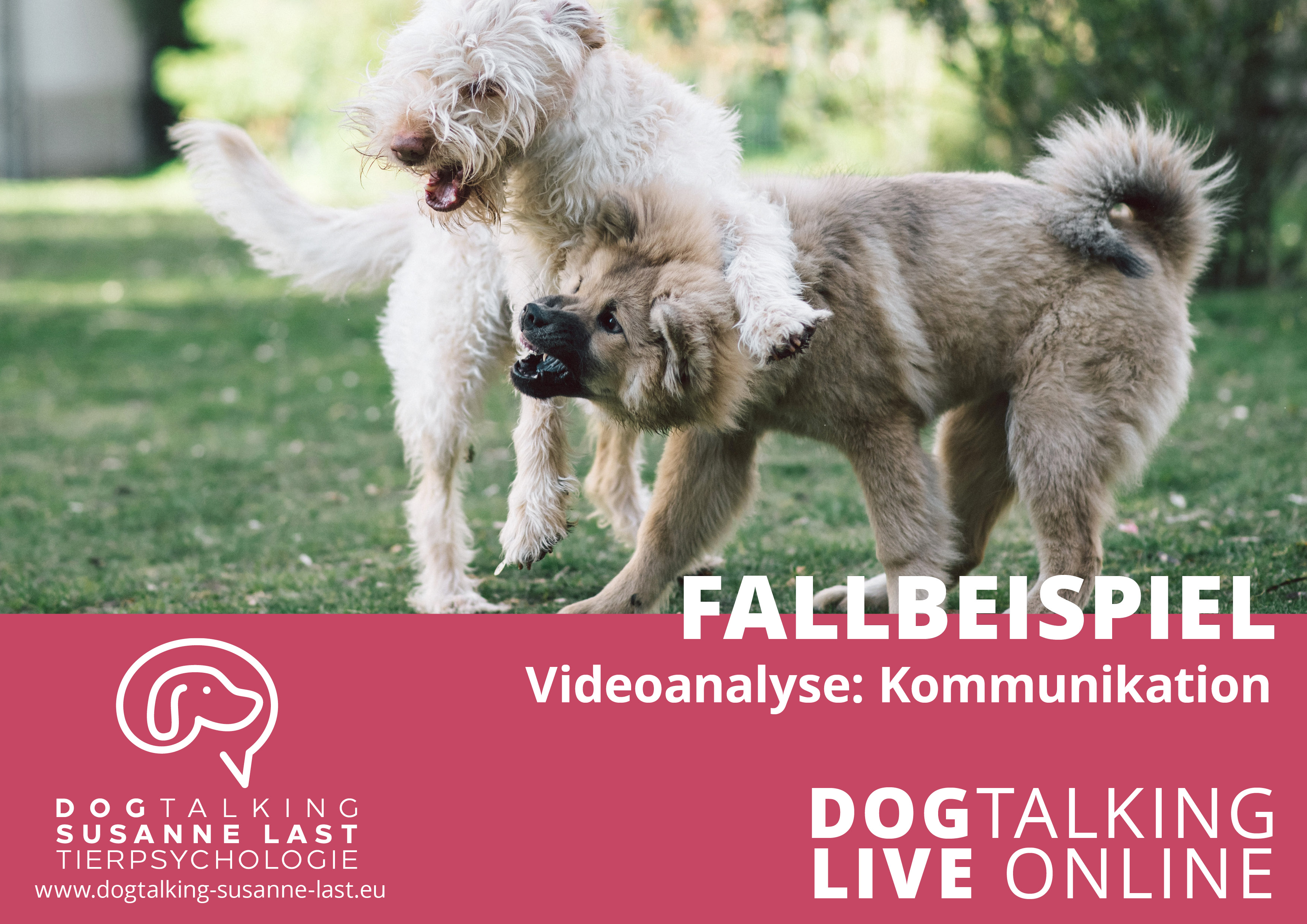 Fallbeispiel Videoanalyse Kommunikation