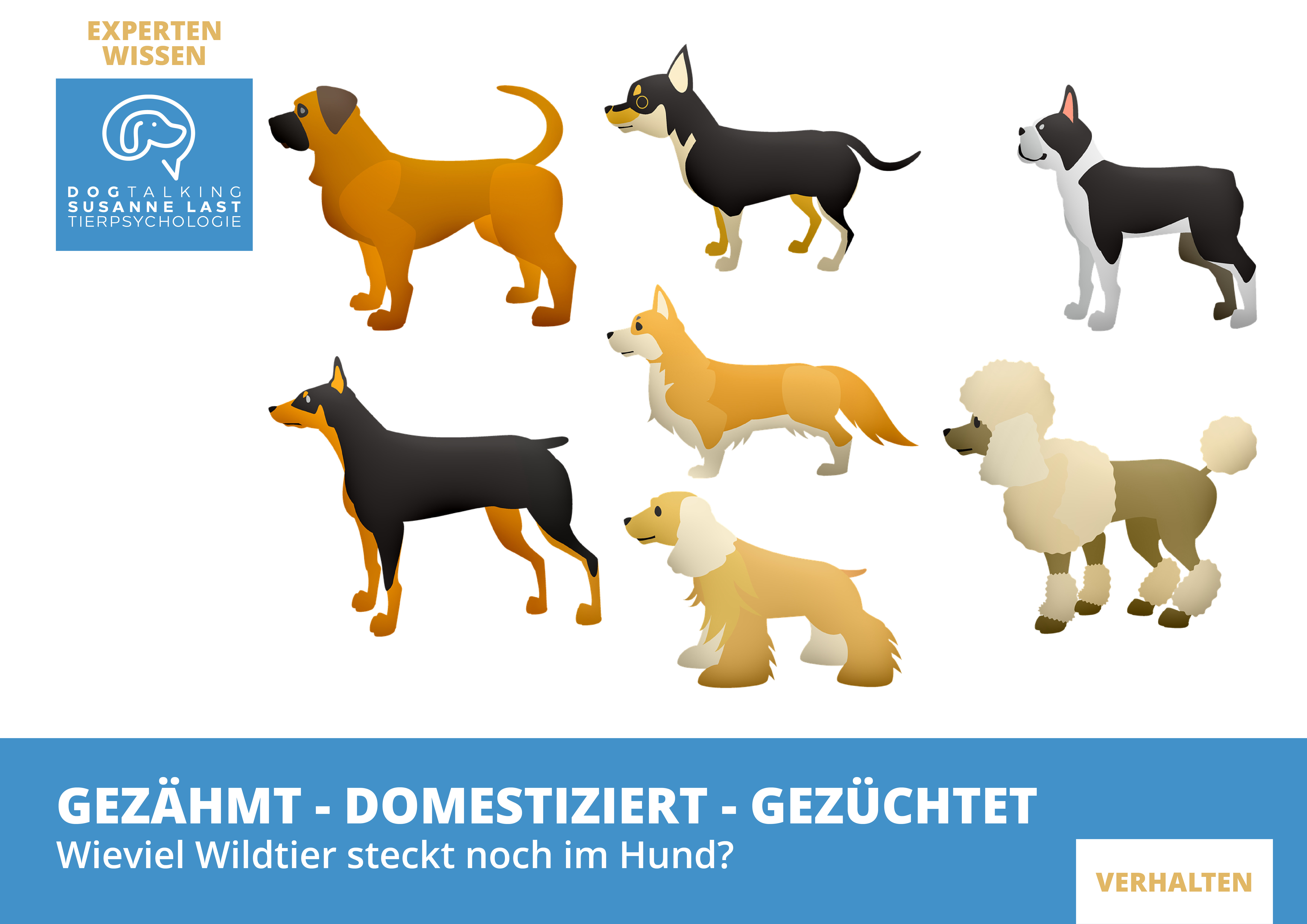 Gezähmt - domestiziert - gezüchtet - Wieviel Wildtier steckt noch im Hund?
