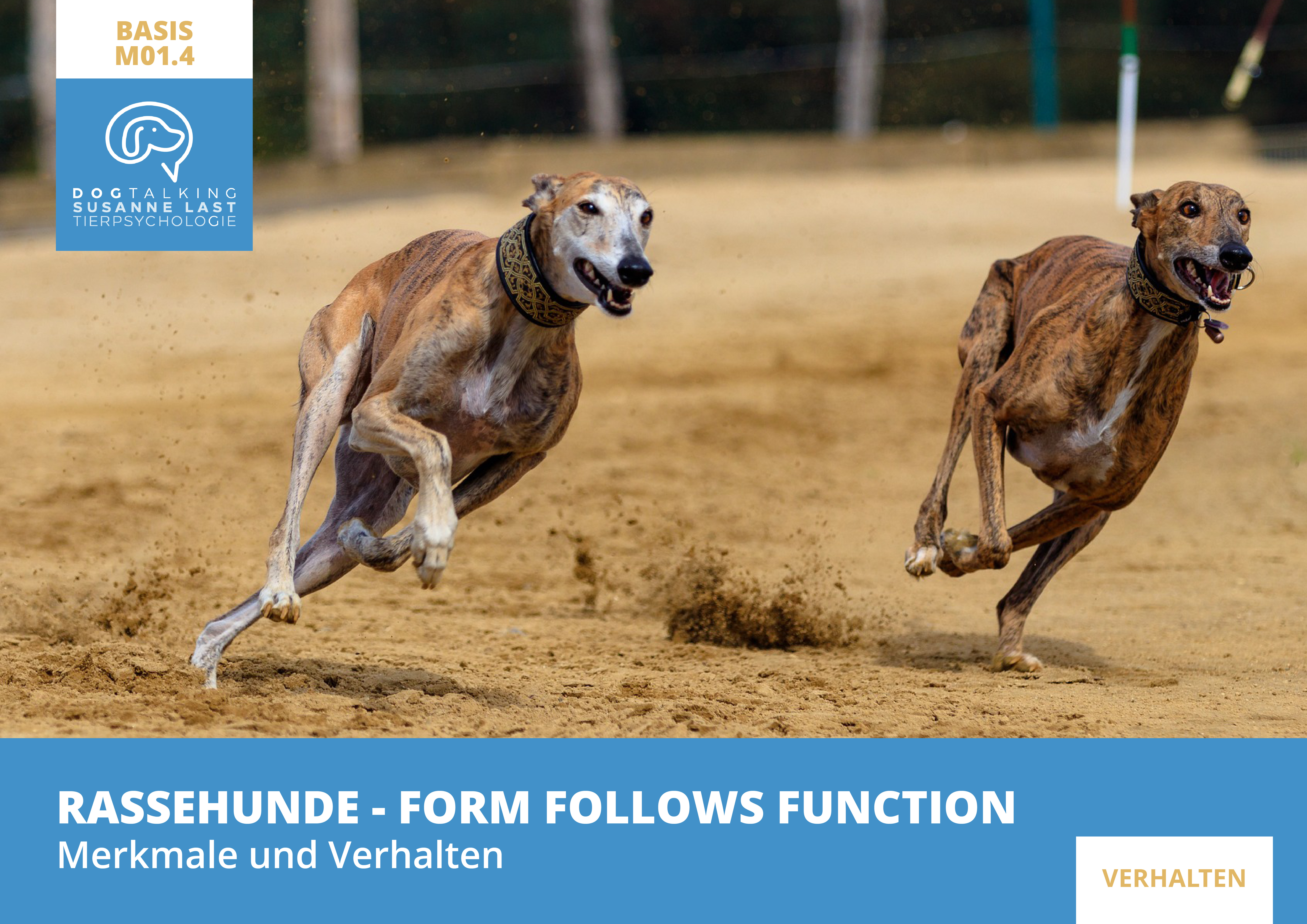 M01.4 Rassehunde - Form follows function - Merkmale und Verhalten