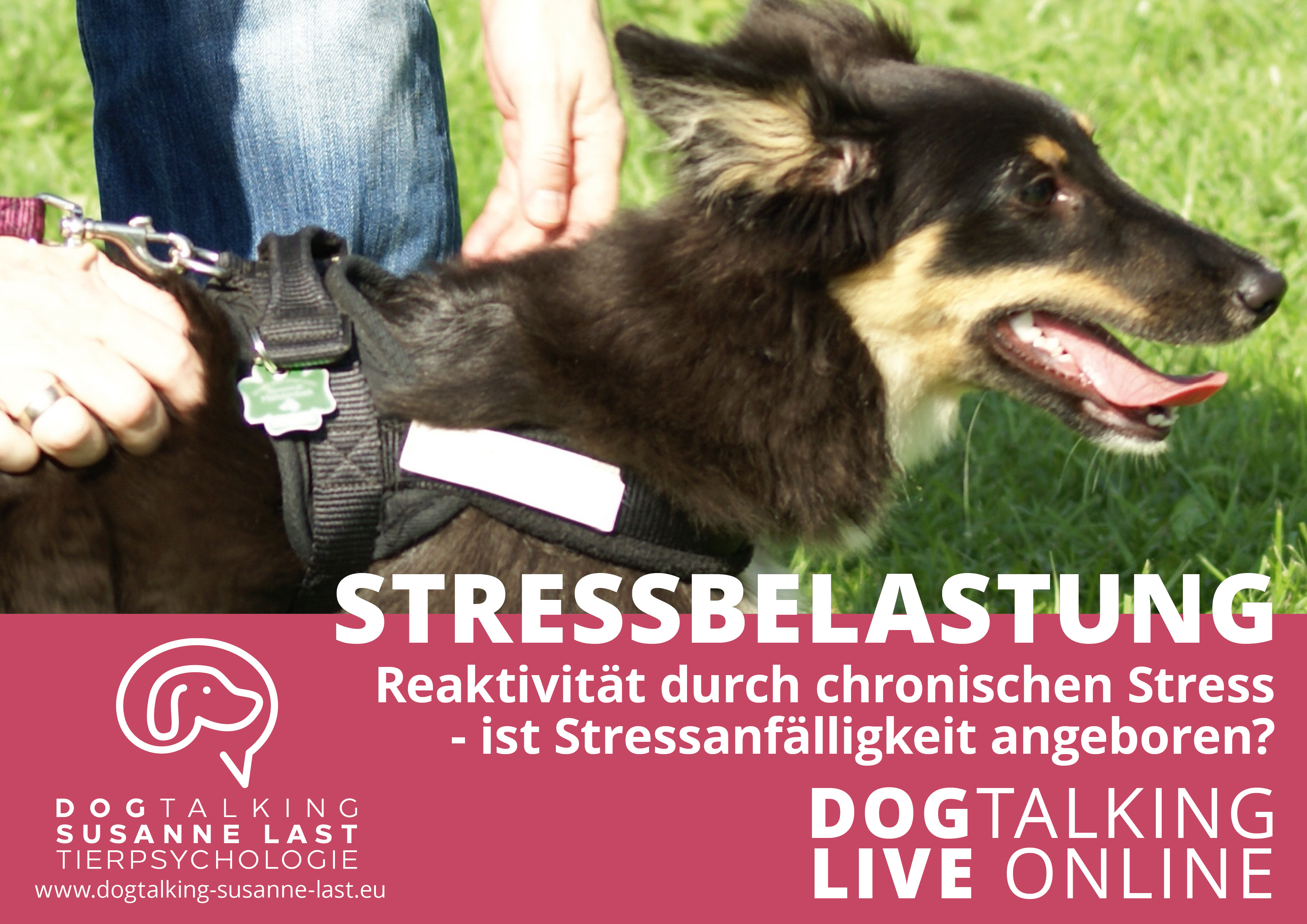Stressbelastung - Reaktivität durch chronischen Stress - ist Stressanfälligkeit angeboren?