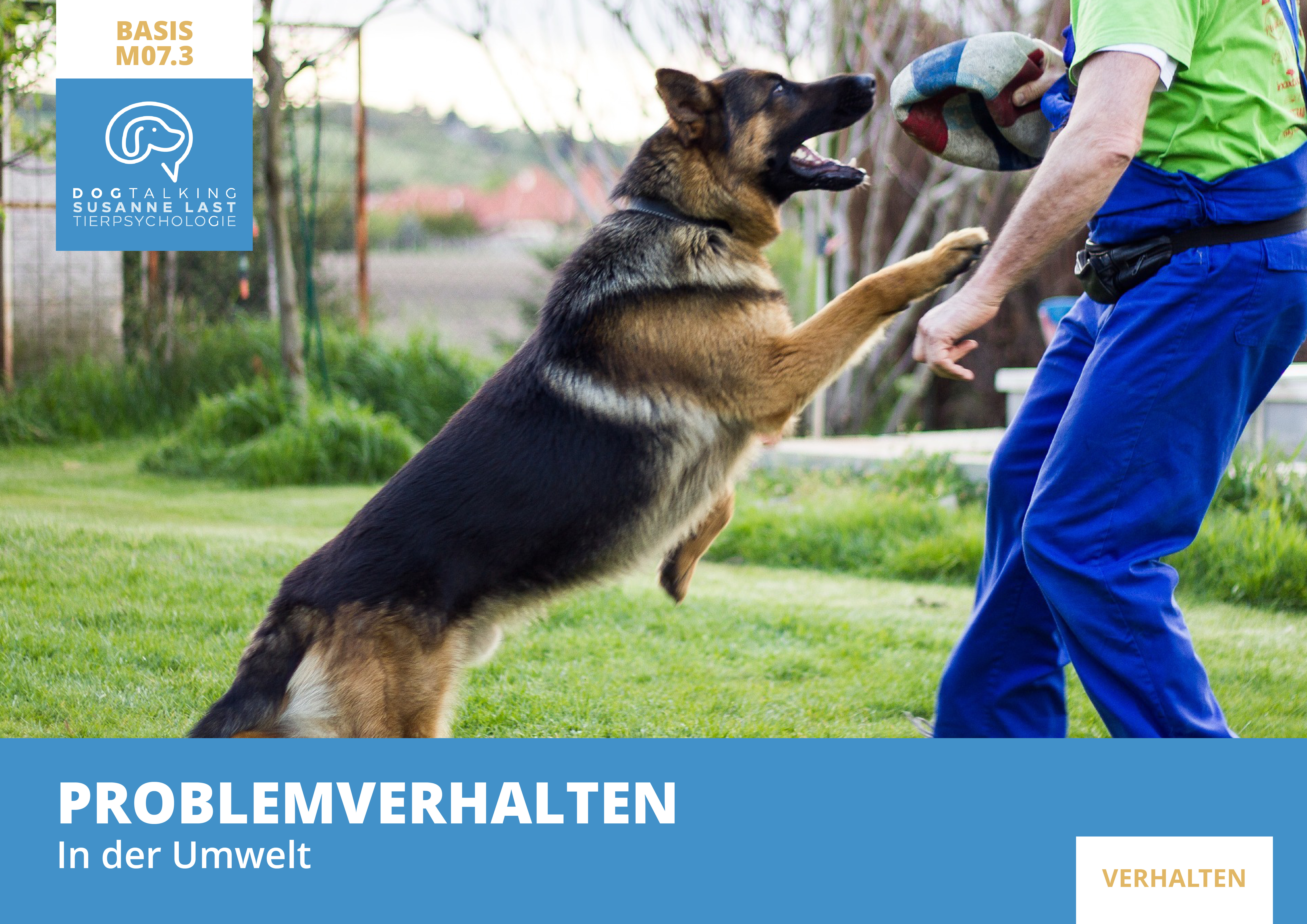 M07.3 Problemverhalten in der Umwelt