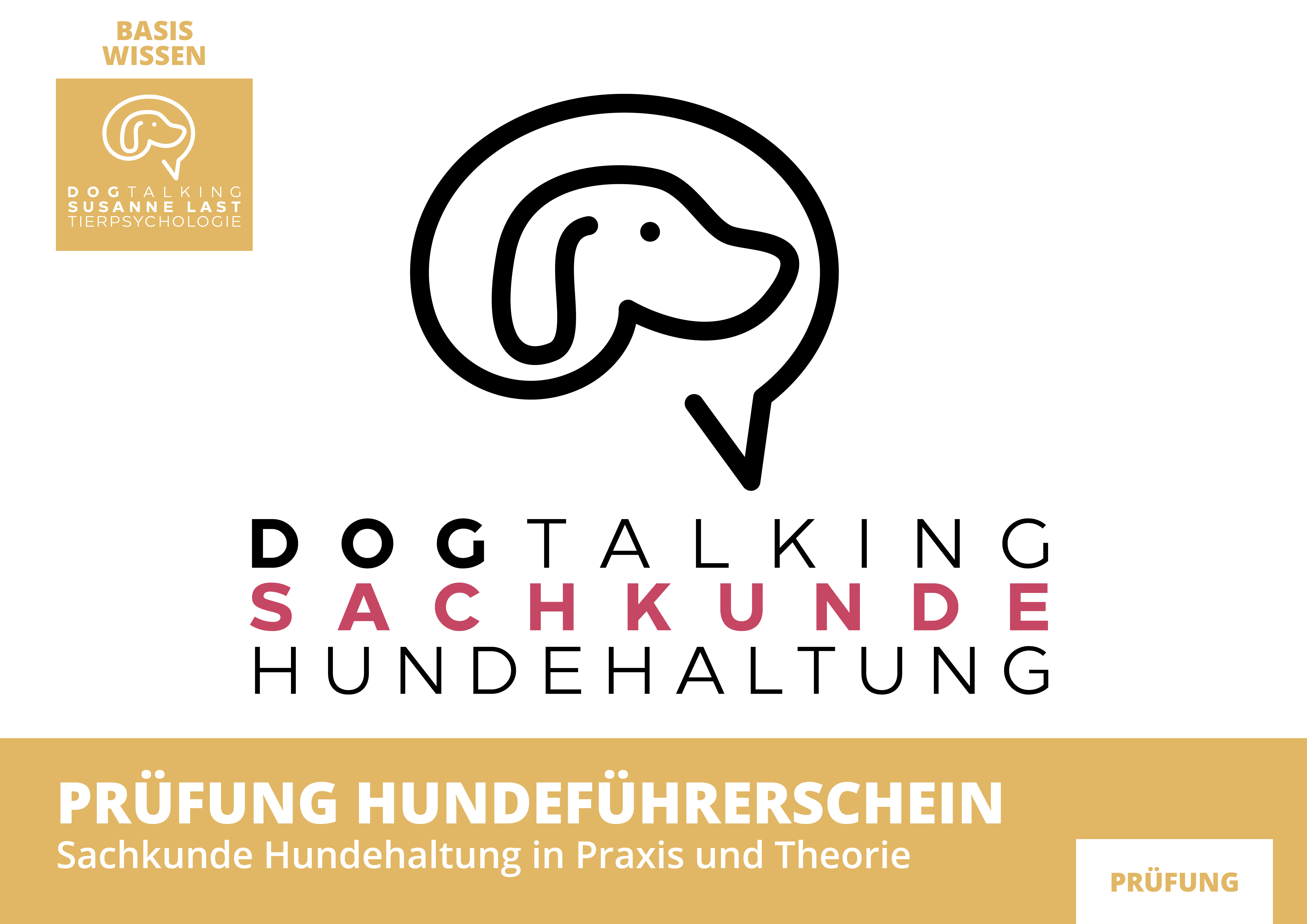 ONLINE - Prüfung Theorie: Sachkunde Hundehaltung (Hundeführerschein)