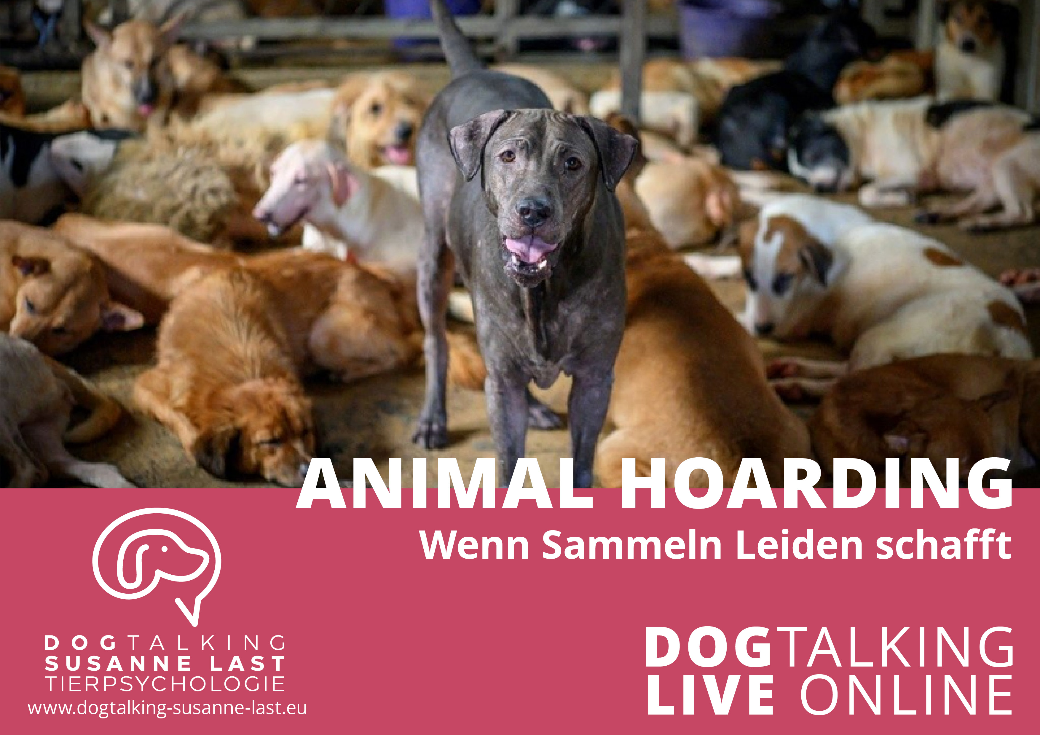Animal Hoarding - wenn Sammeln Leiden schafft