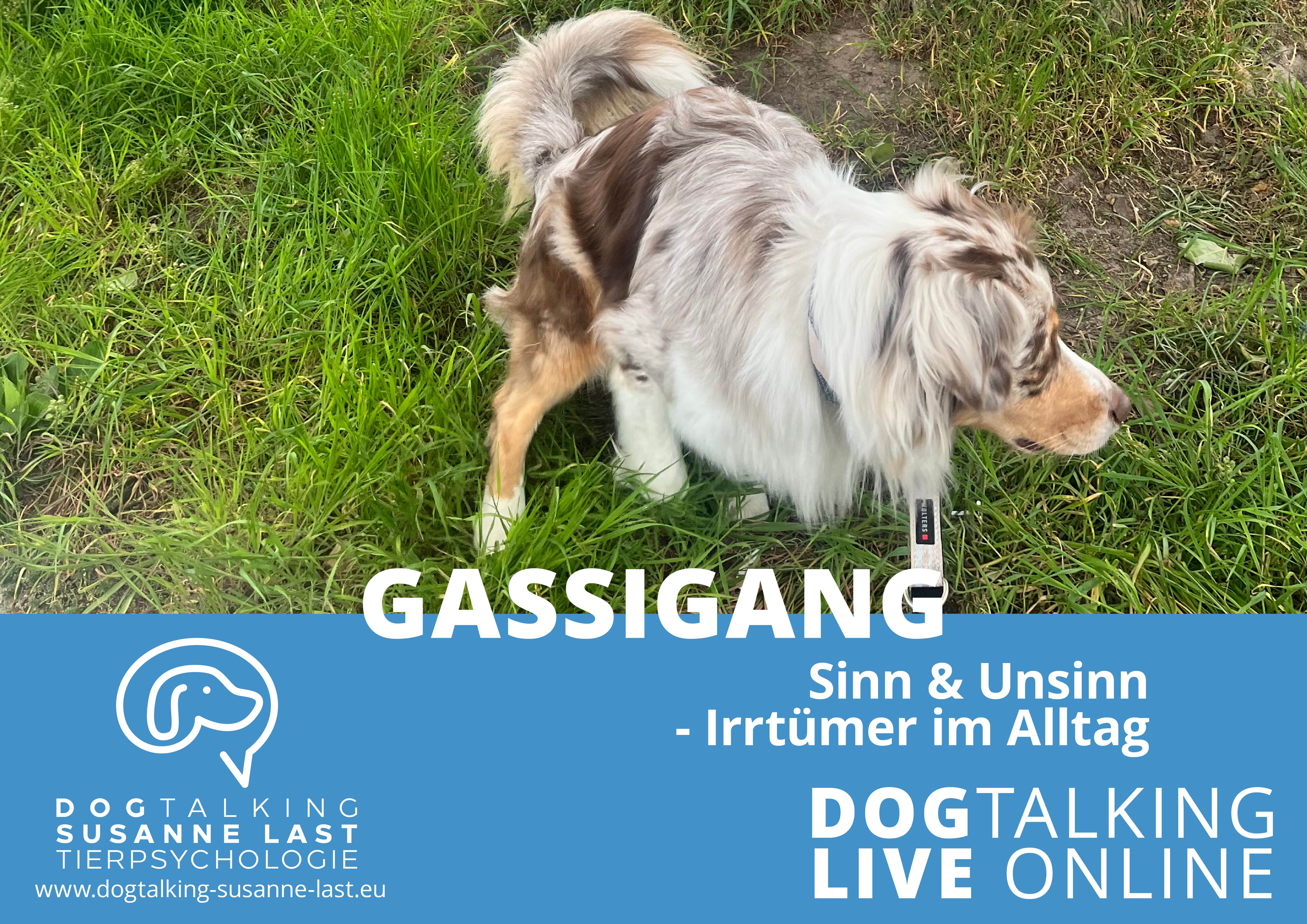 Gassigang 1 - Sinn und Unsinn Irrtümer im Alltag 