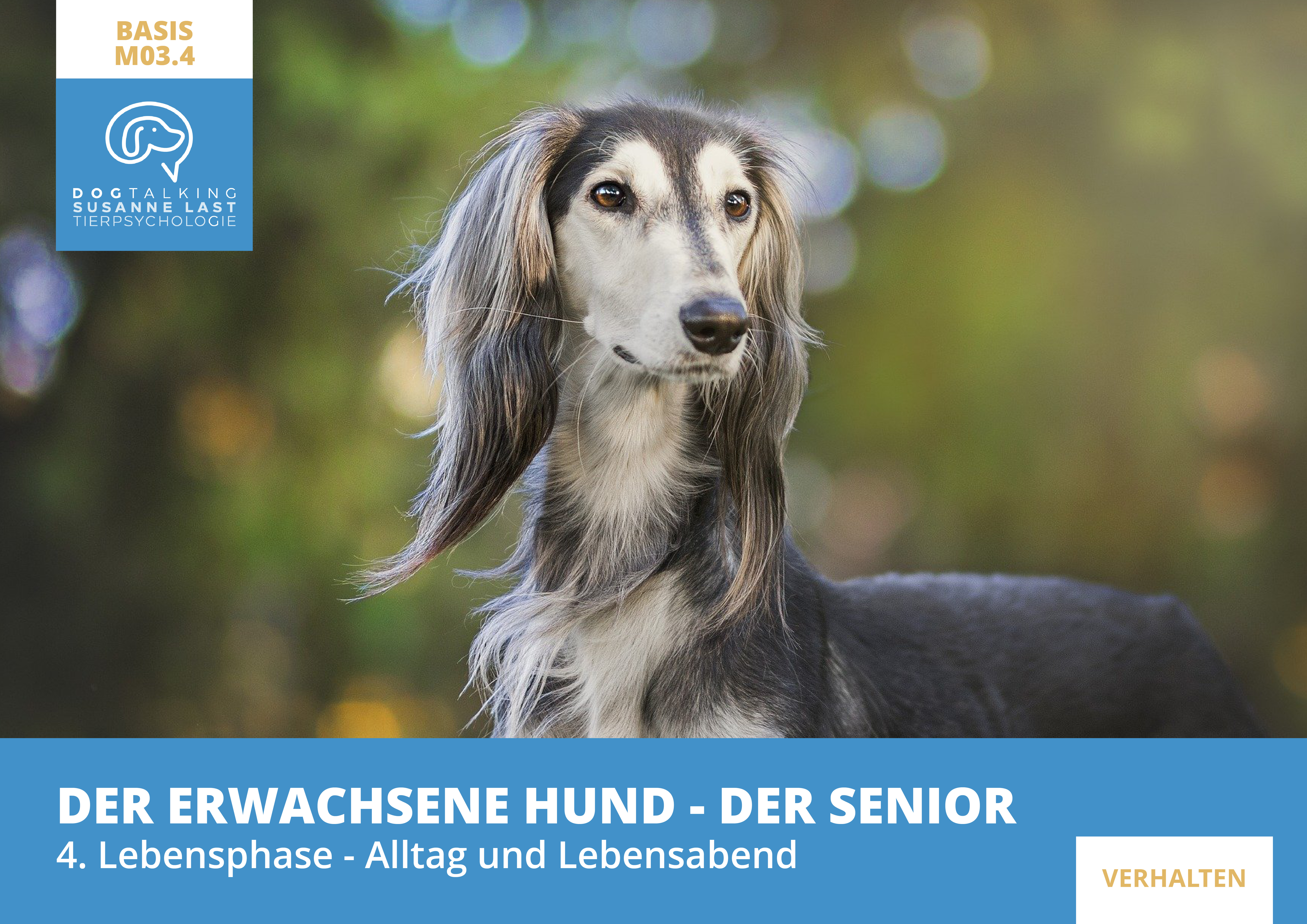 M03.4 Der erwachsene Hund - der Senior - 4.Lebensphase - Alltag und Lebensabend
