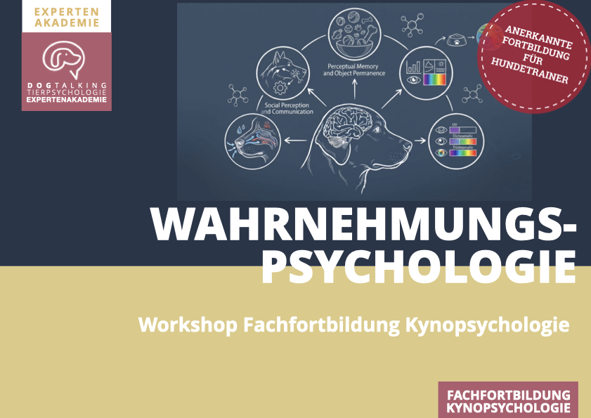 27./28.02.2027 Wahrnehmungspsychologie des Hundes - Workshop