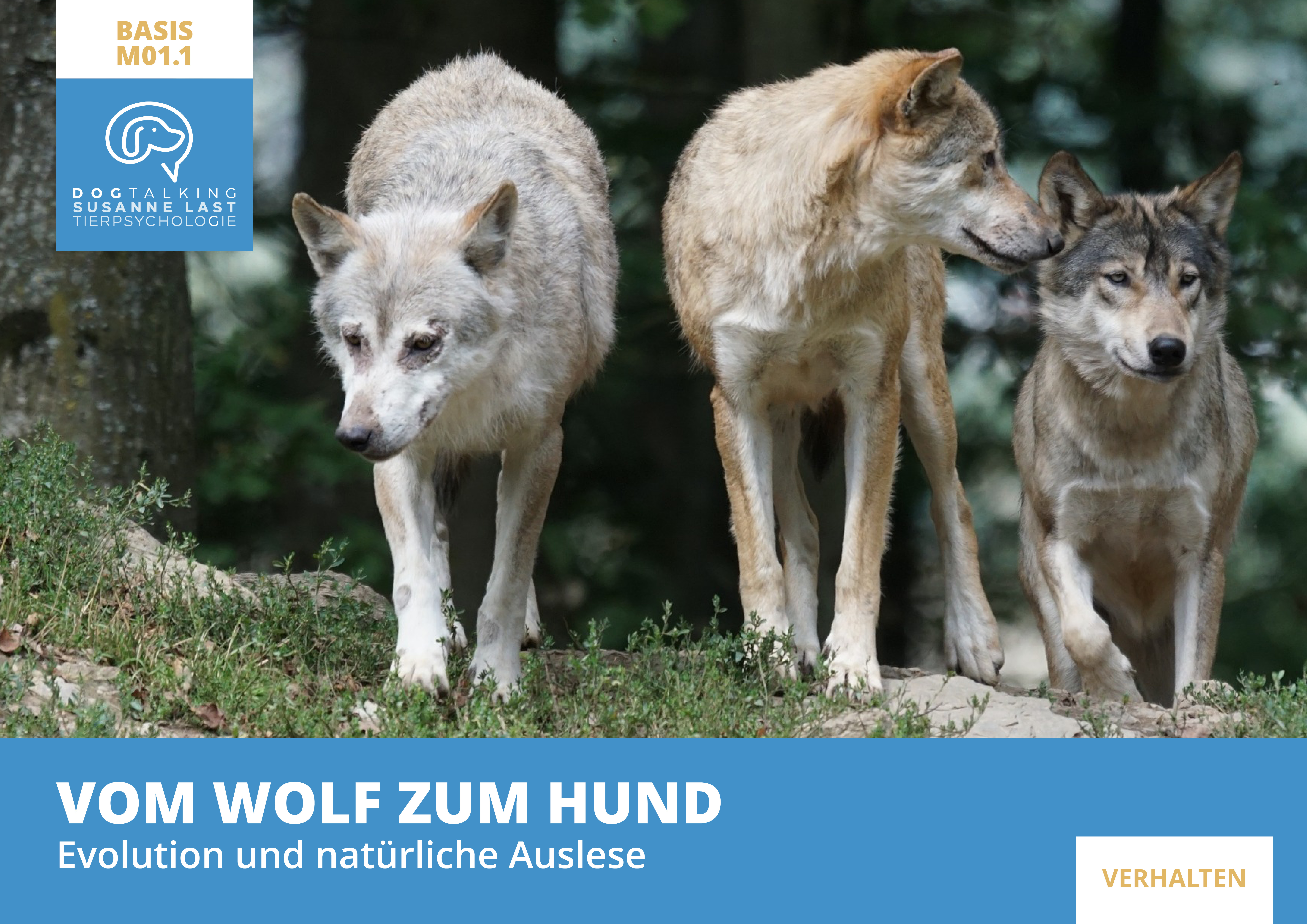 M01.1 Vom Wolf zum Hund  - Evolution und natürliche Auslese