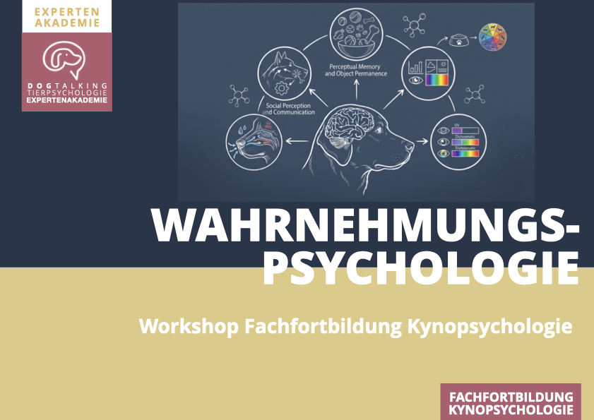 27./28.02.2027 Wahrnehmungspsychologie des Hundes - Workshop