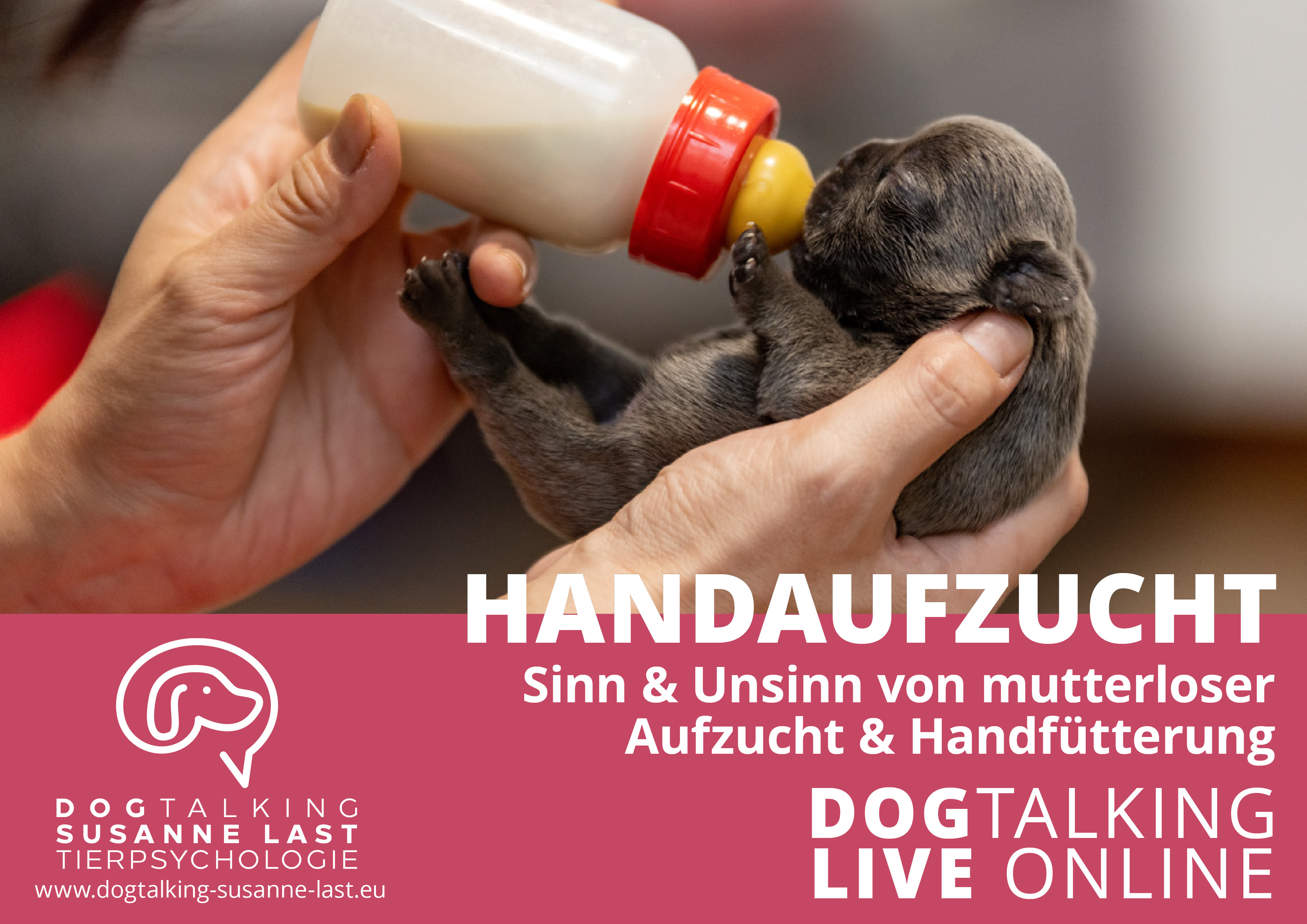 Handaufzucht - Sinn & Unsinn von mutterloser Aufzucht & Handfütterung