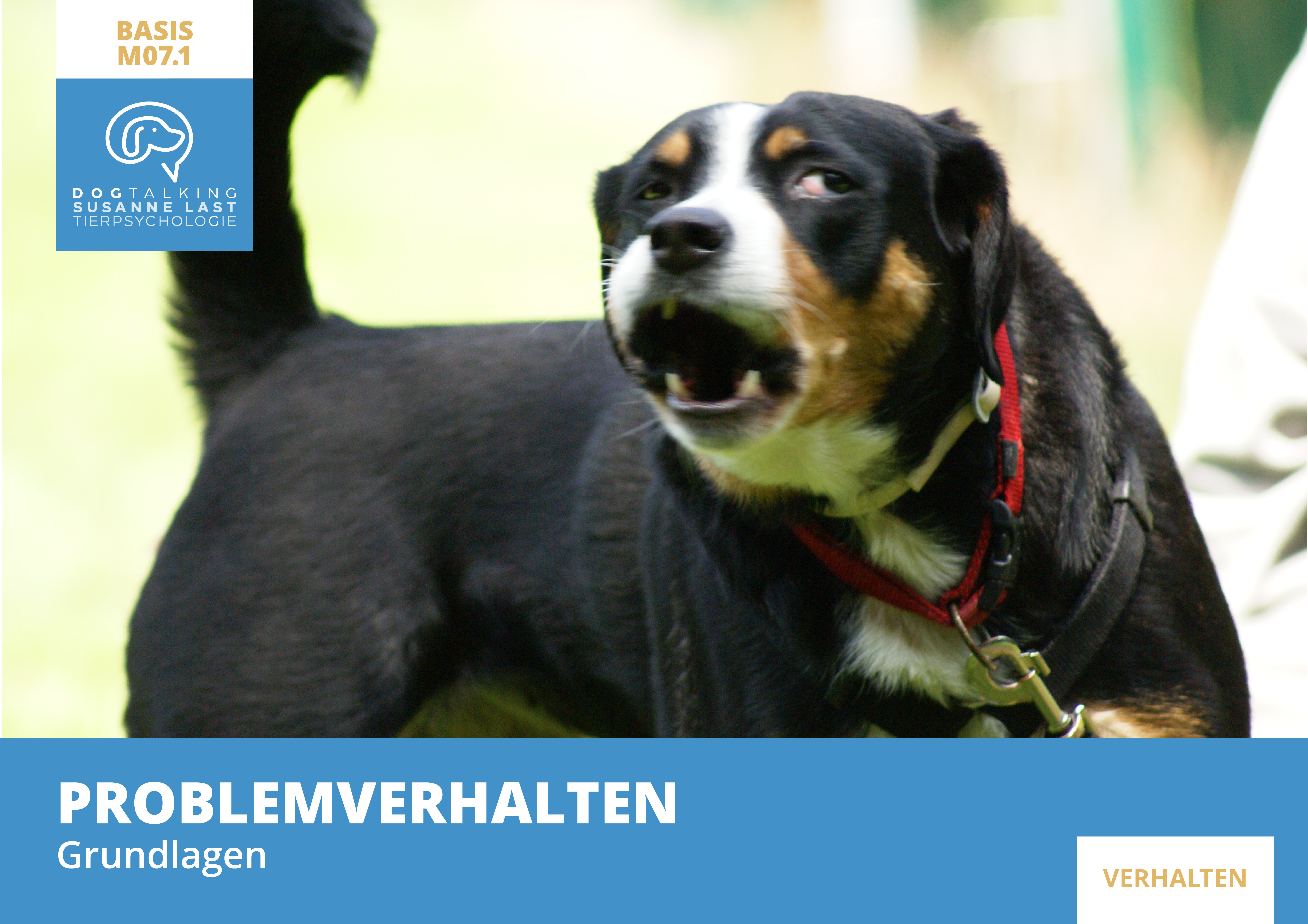 M07.1 Problemverhalten -  Grundlagen