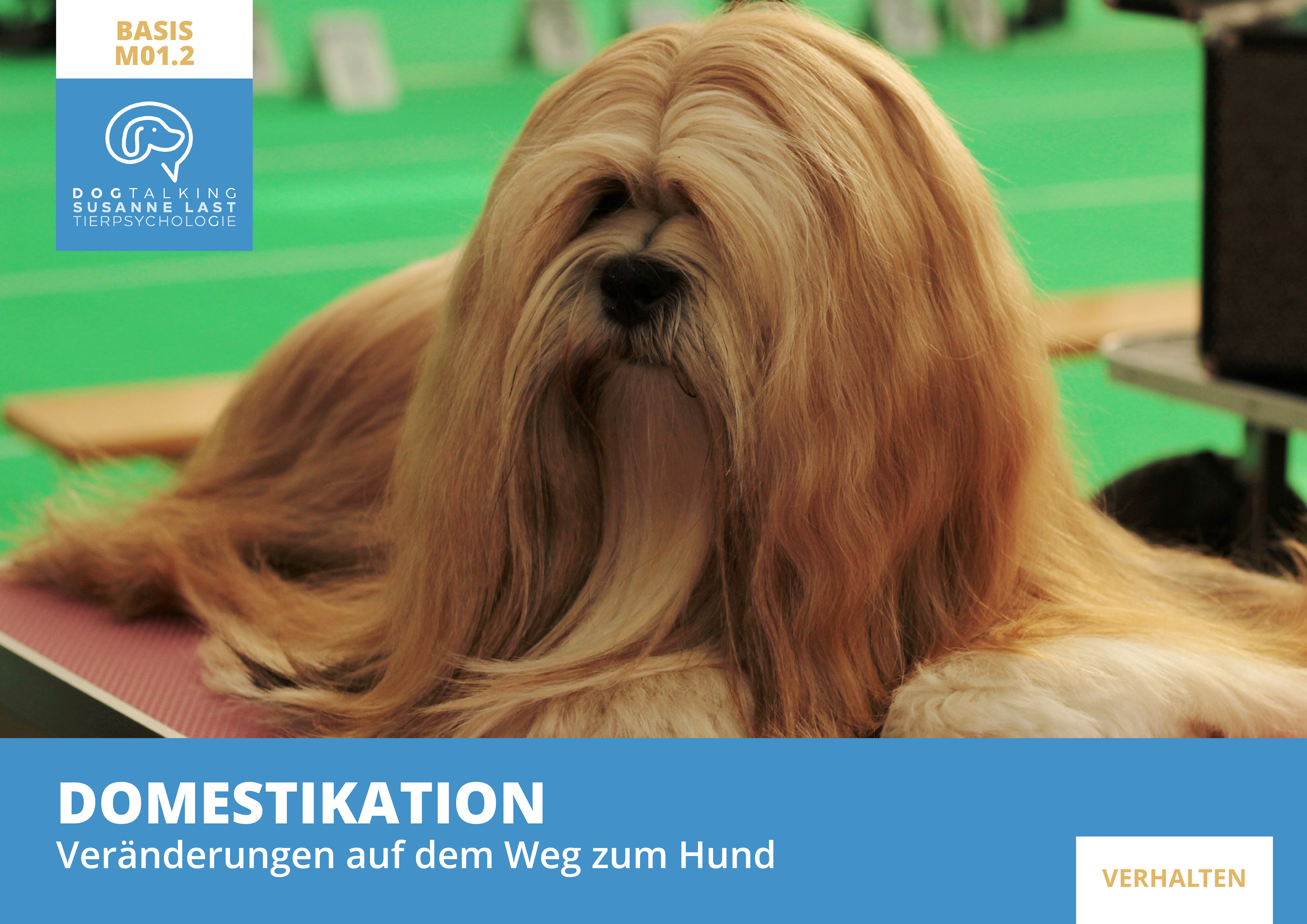 M01.2 Domestikation - Veränderungen auf dem Weg zum Hund