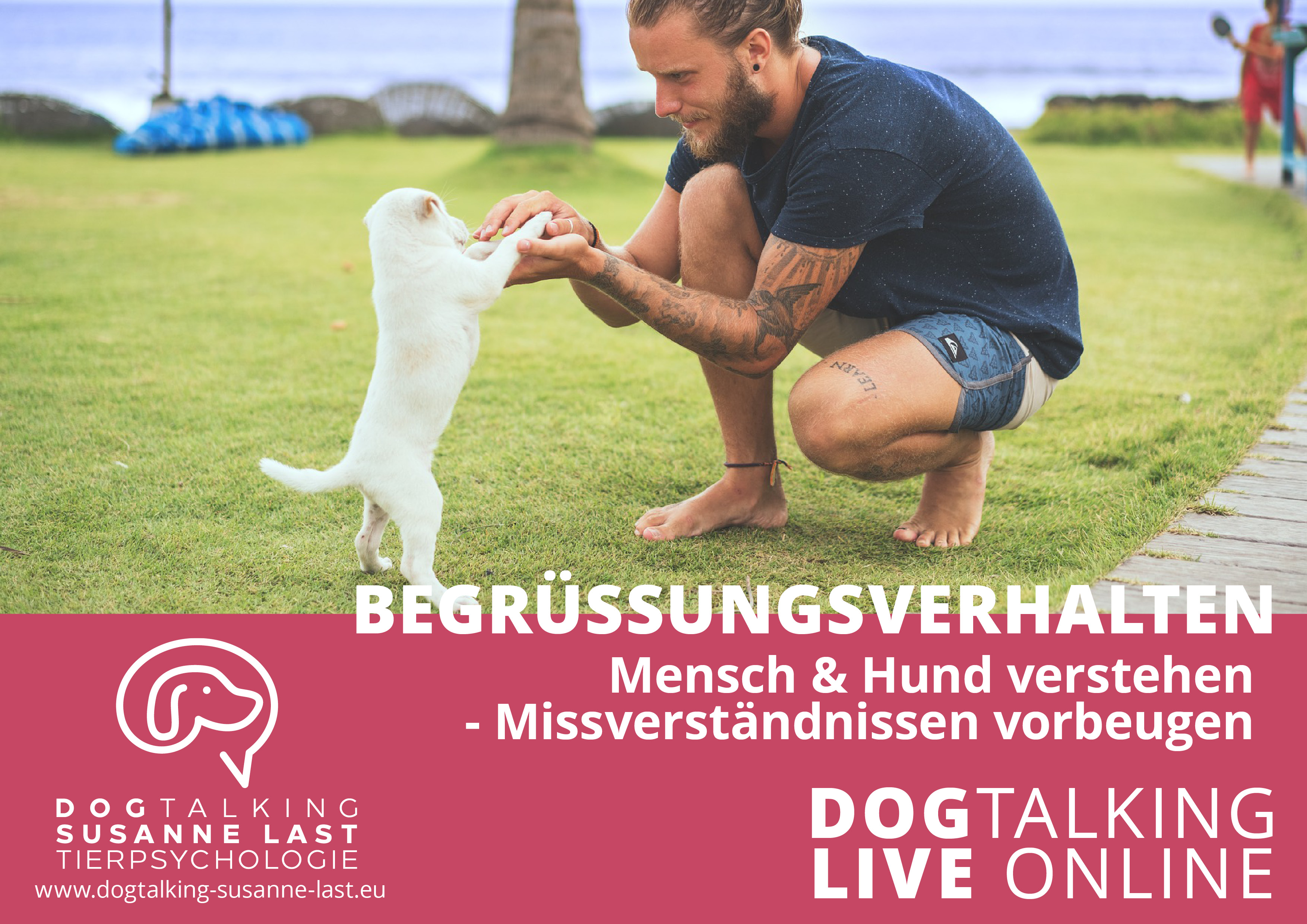 Begrüssungsverhalten Mensch & Hund verstehen - Missverständnissen vorbeugen