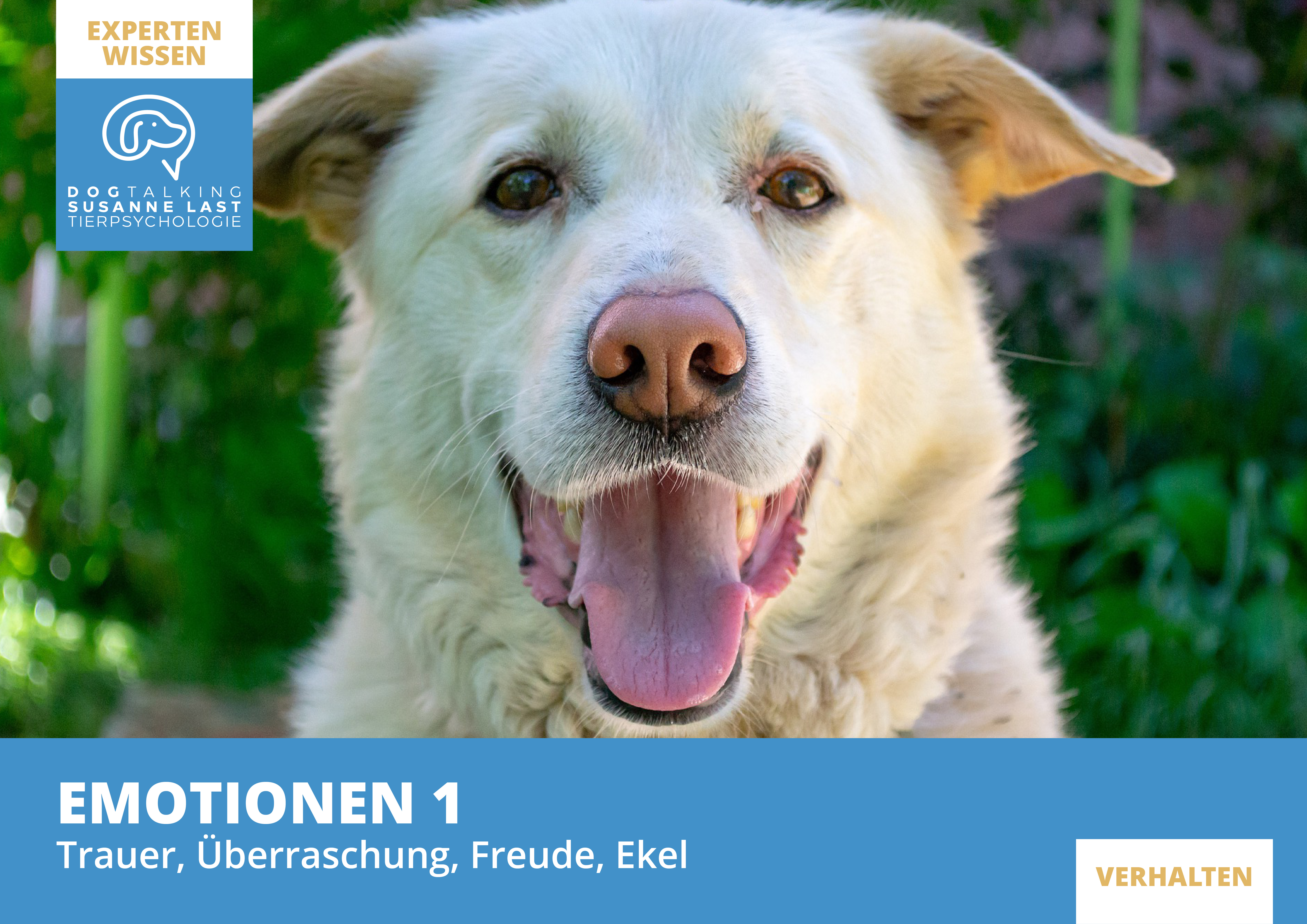 Emotionen 1: Trauer, Überraschung, Freude, Ekel