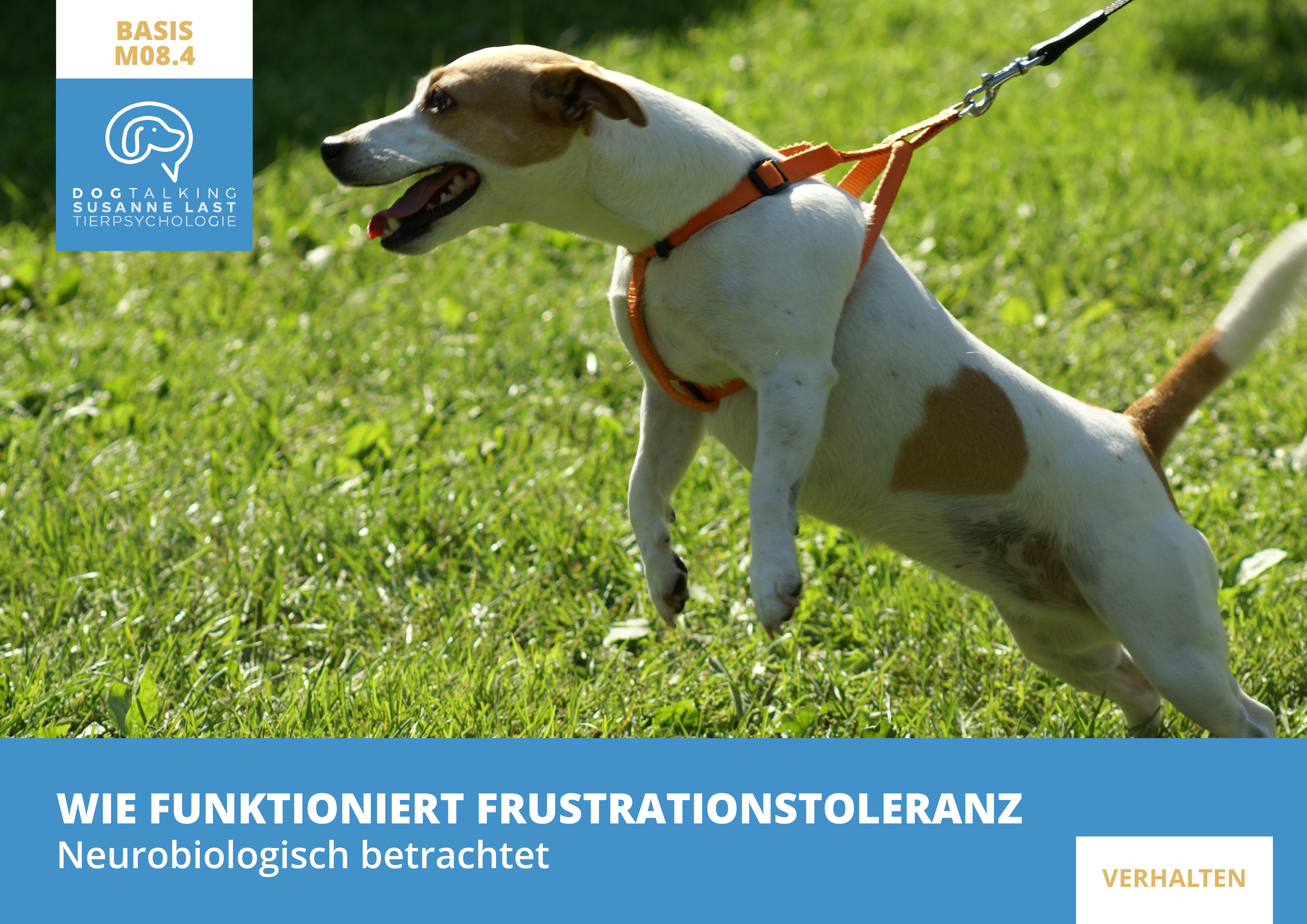M08.4 Wie funktioniert Frustrationstoleranz? Neurobiologisch betrachtet