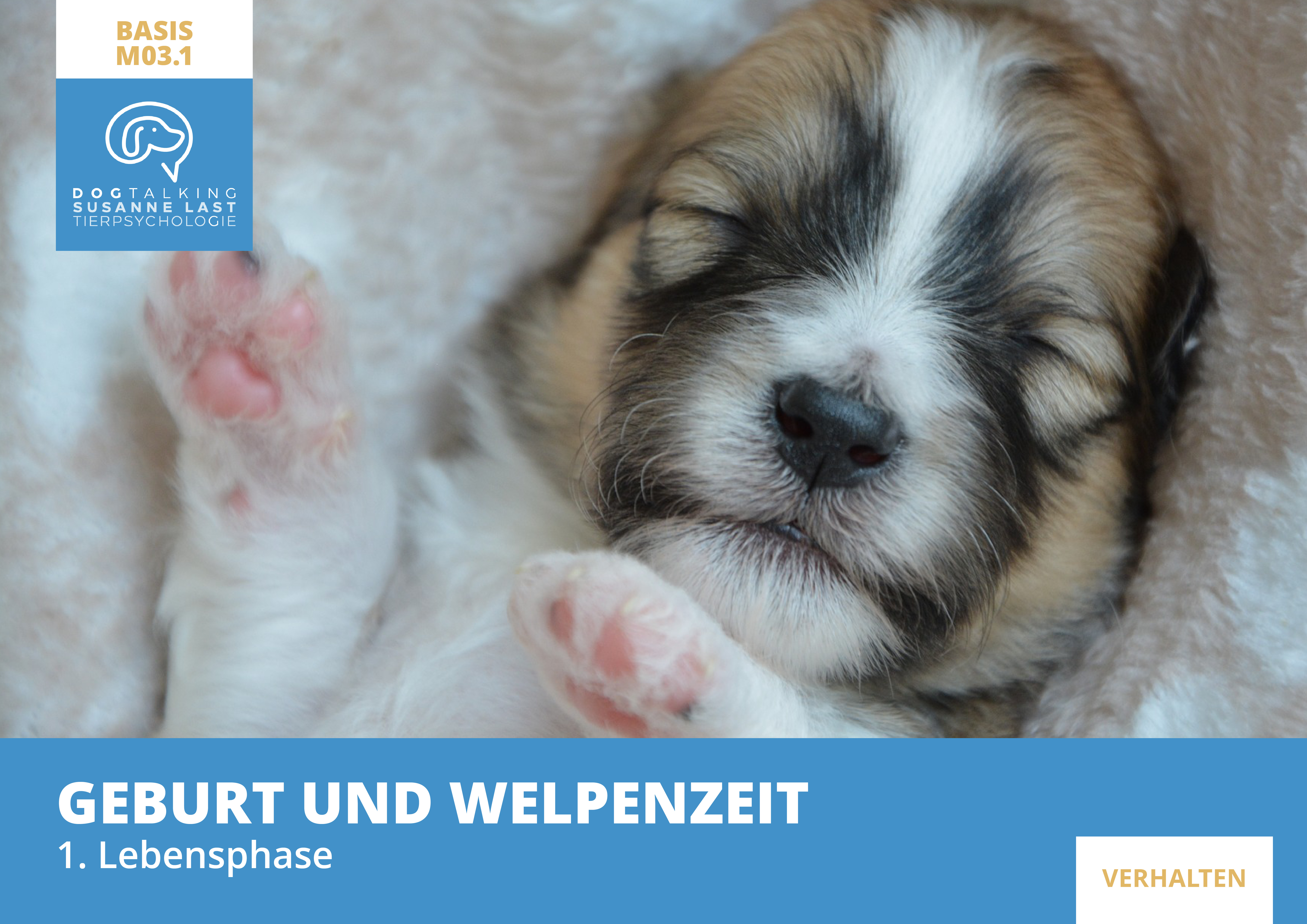 M03.1 Geburt und Welpenzeit - 1. Lebensphase