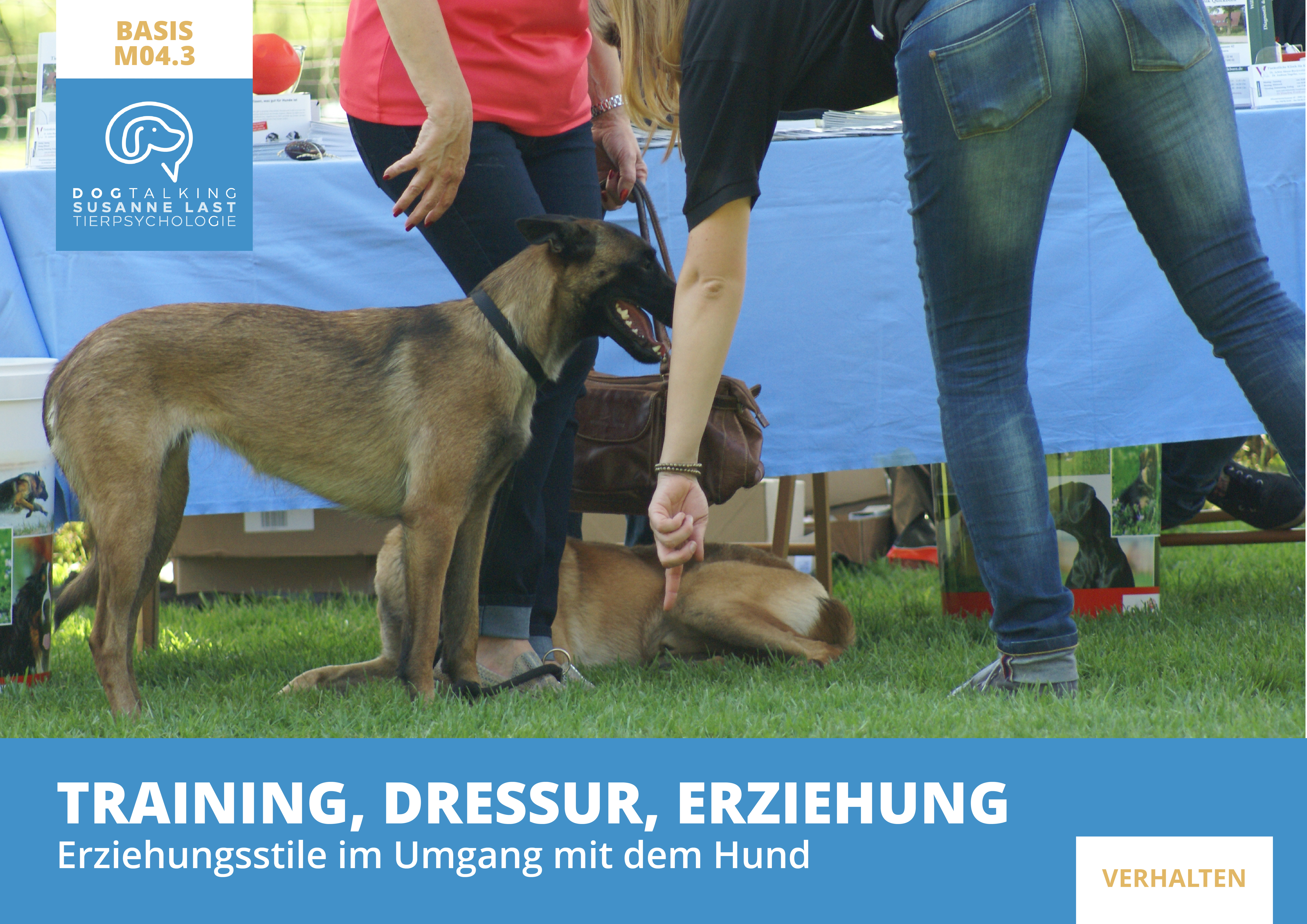 M04.3 Training, Dressur, Erziehung - Erziehungsstile im Umgang mit dem Hund