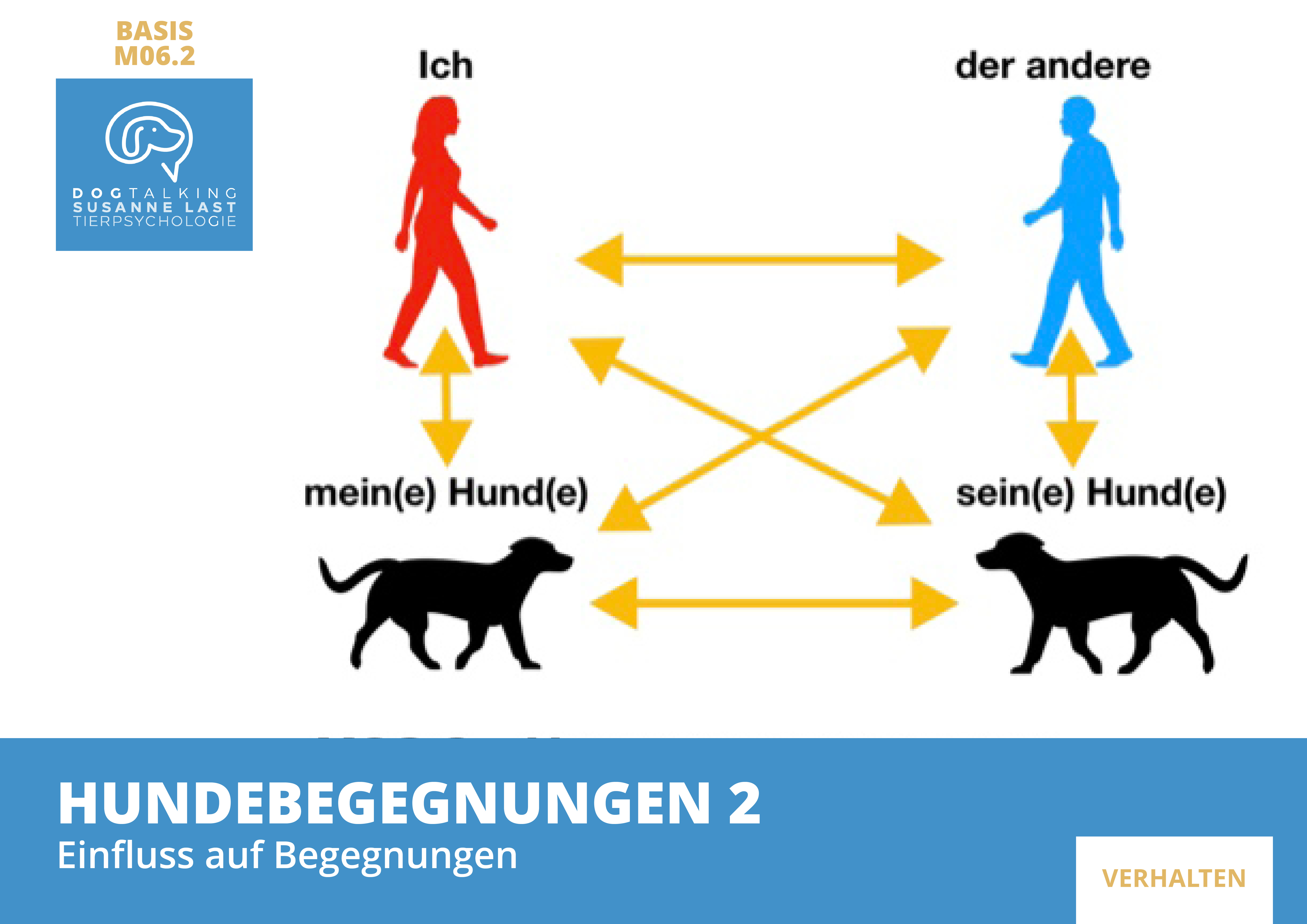 M06.2 Hundebegegnungen 2 - Einfluss auf Begegnungen
