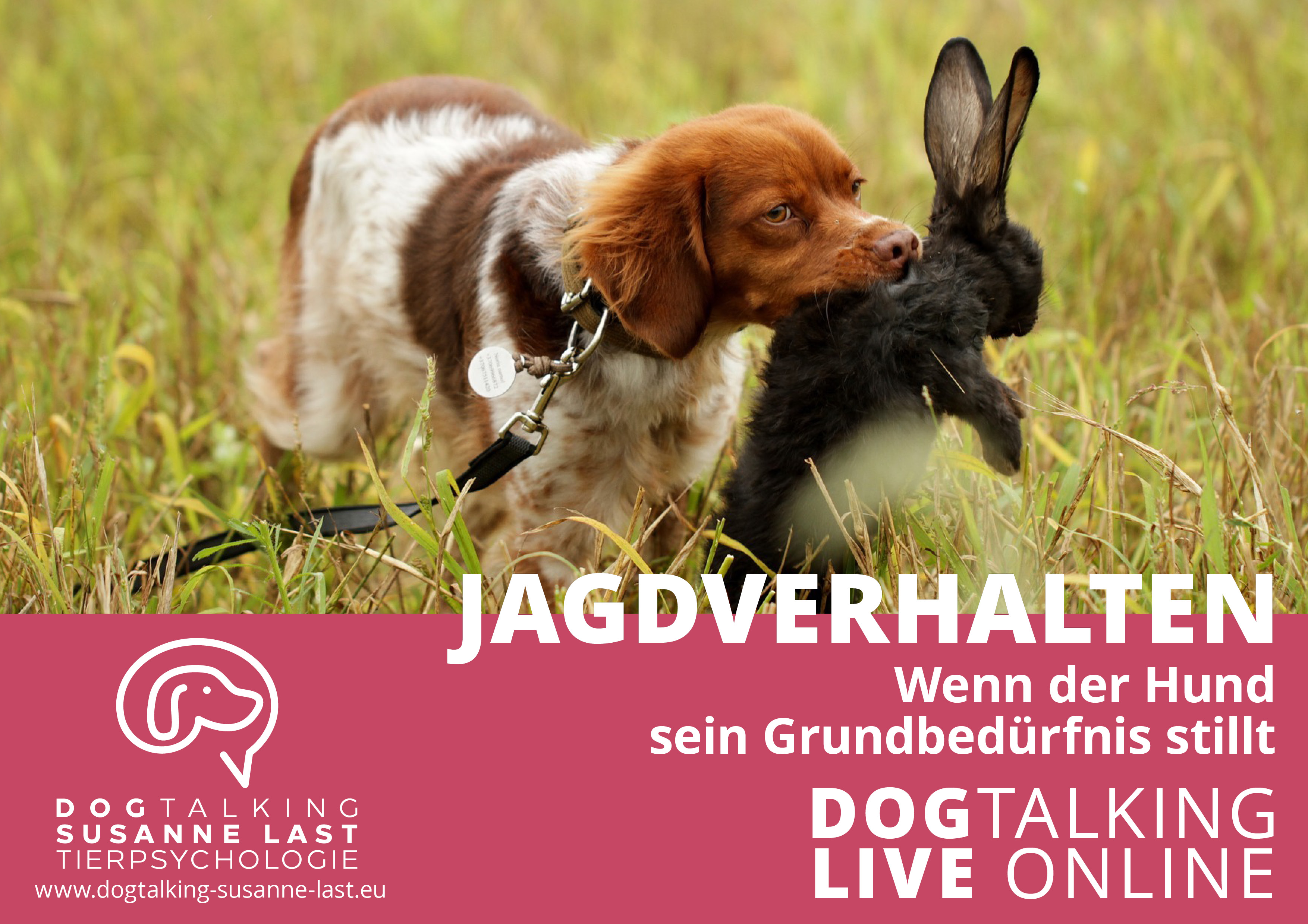 Jagdverhalten - Wenn der Hund sein Grundbedürfnis stillt