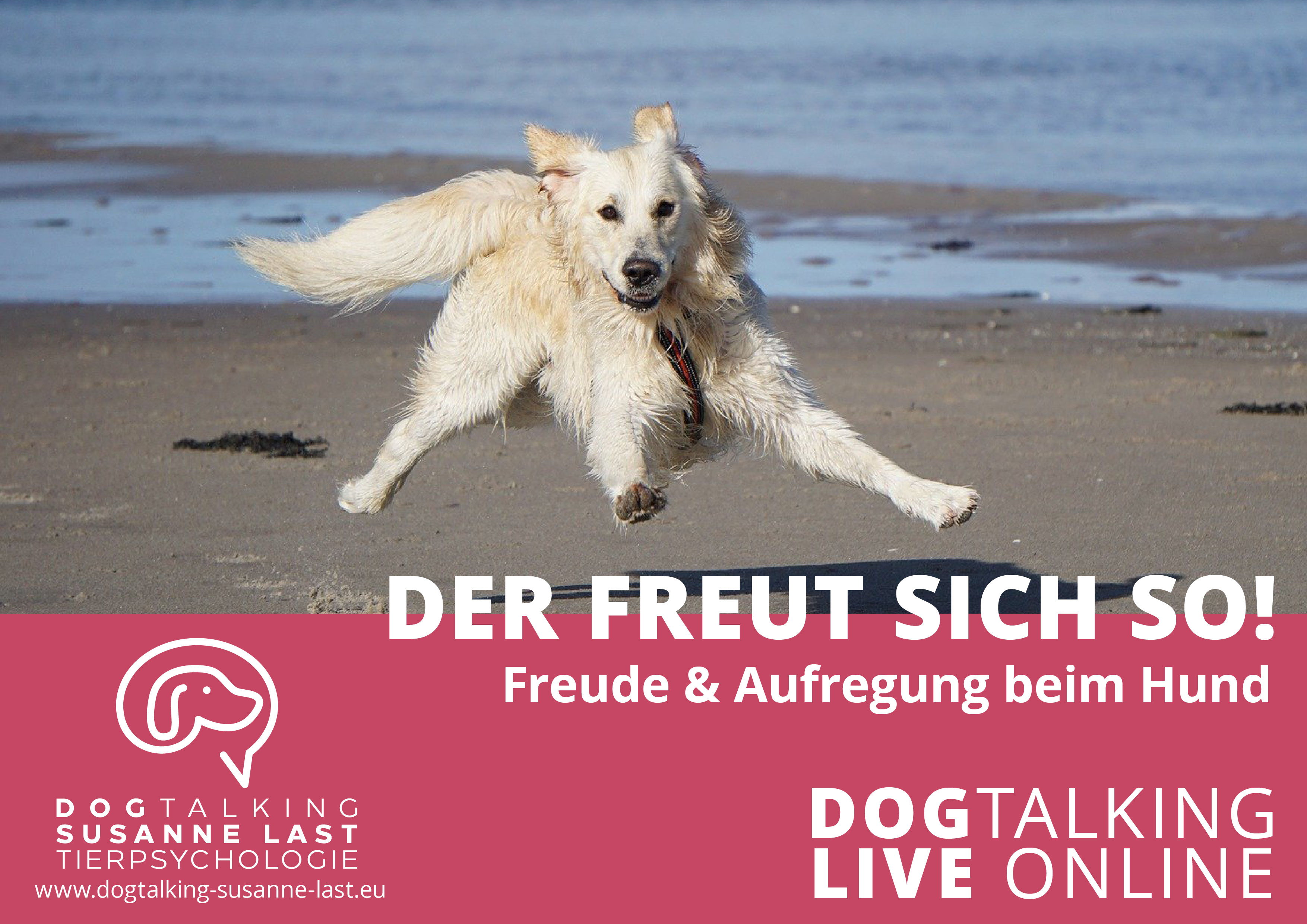 Der freut sich so Feude & Aufregung beim Hund