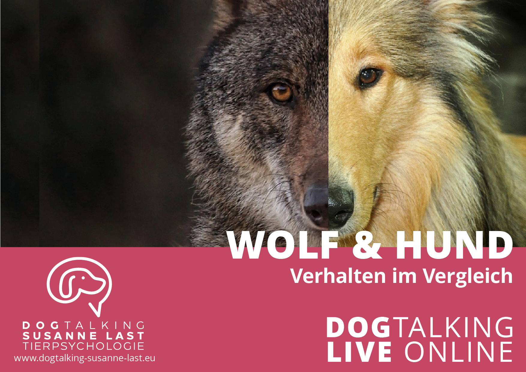 Wolf & Hund Verhalten im Vergleich