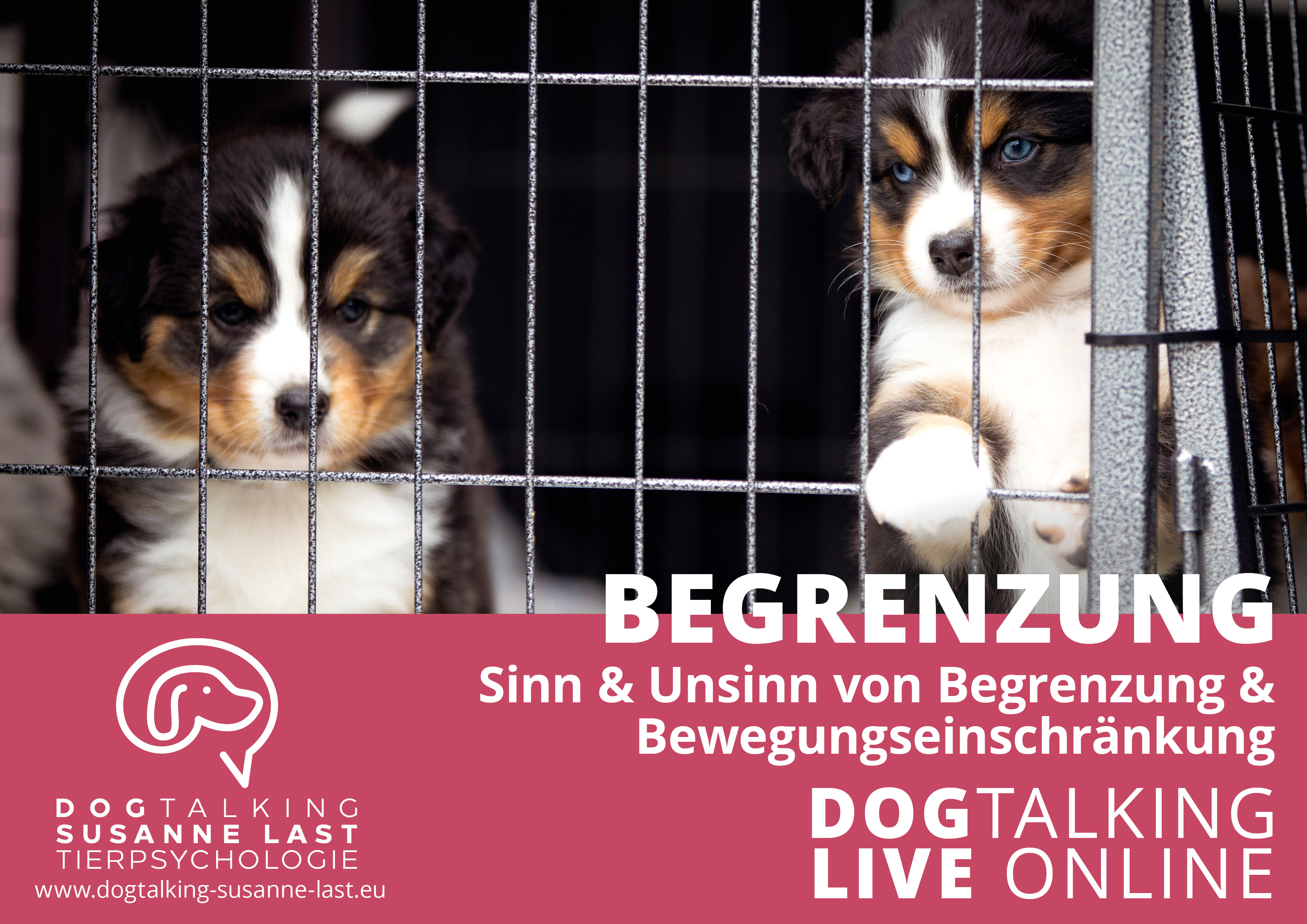 Begrenzung - Sinn & Unsinn von Begrenzungen und Bewegungseinschränkungen