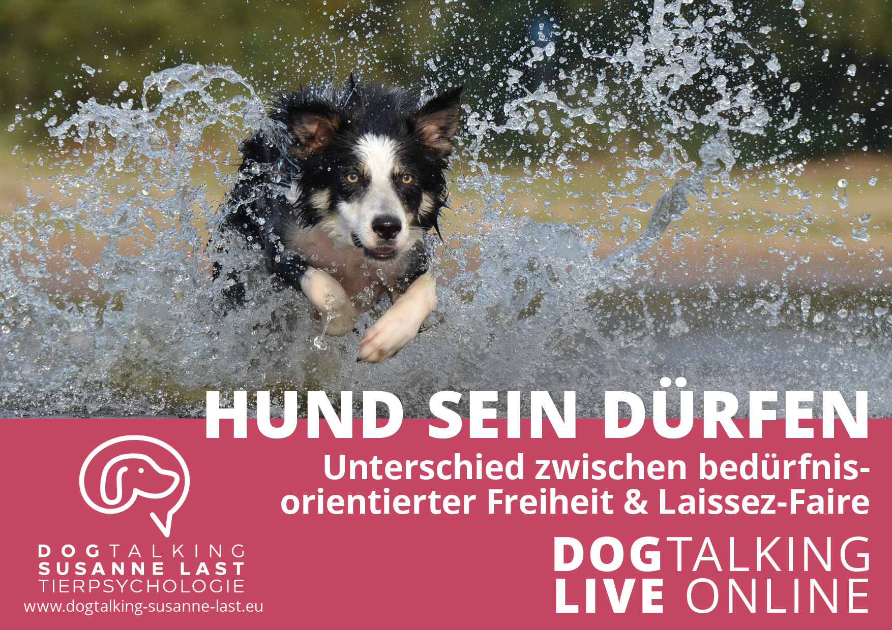 Hund sein dürfen - Unterschied zwischen bedürfnisorientierter Freizeit & Laissez-Faire