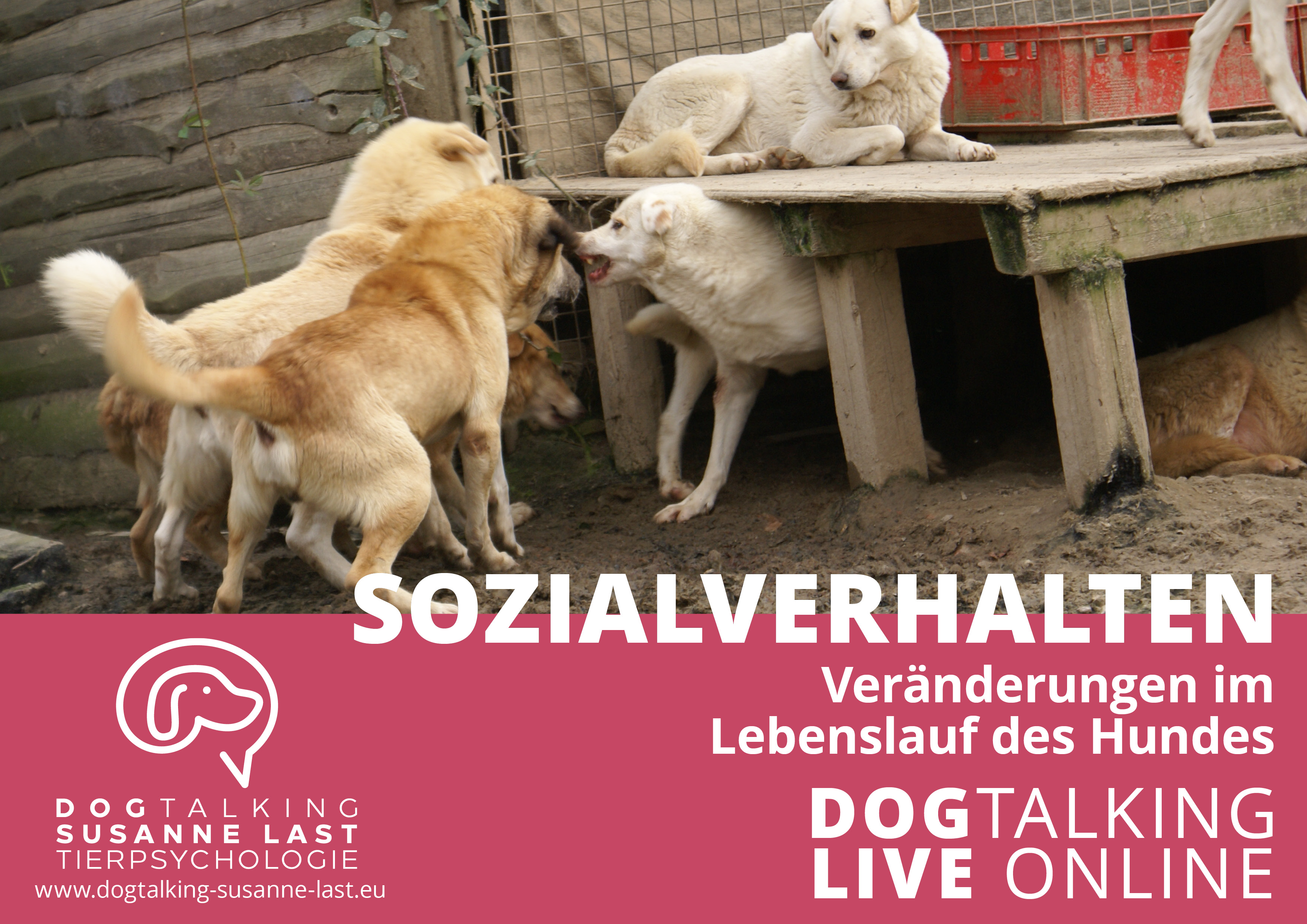 Sozialverhalten - Veränderungen im Lebensverlauf