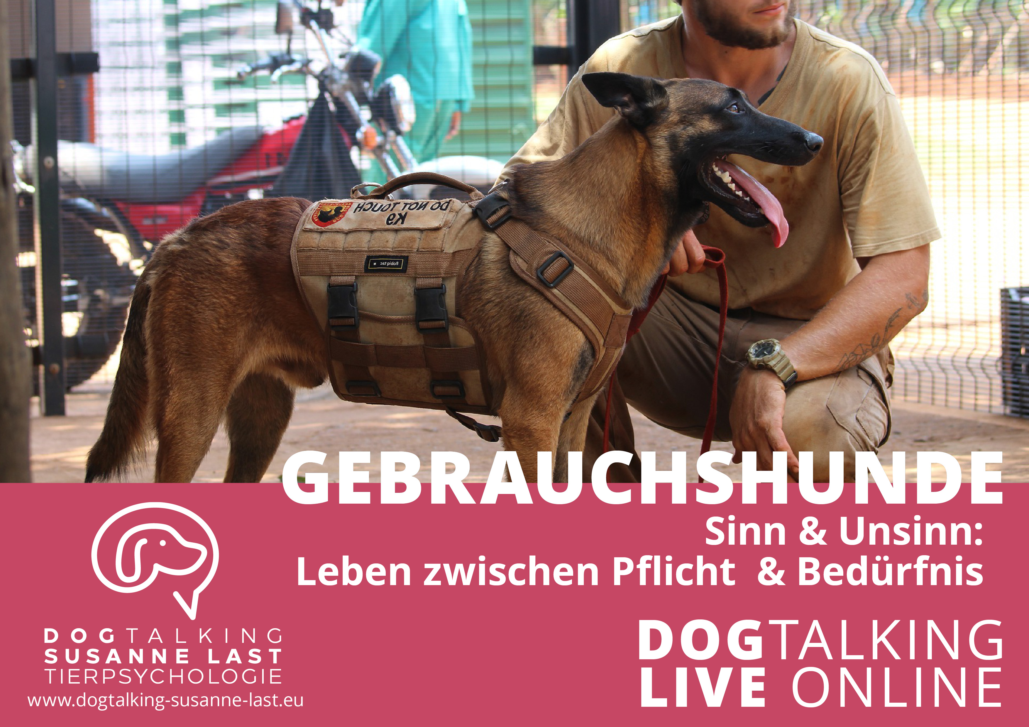 Gebrauchshunde - Sinn & Unsinn: Leben zwischen Pflicht & Bedürfnis