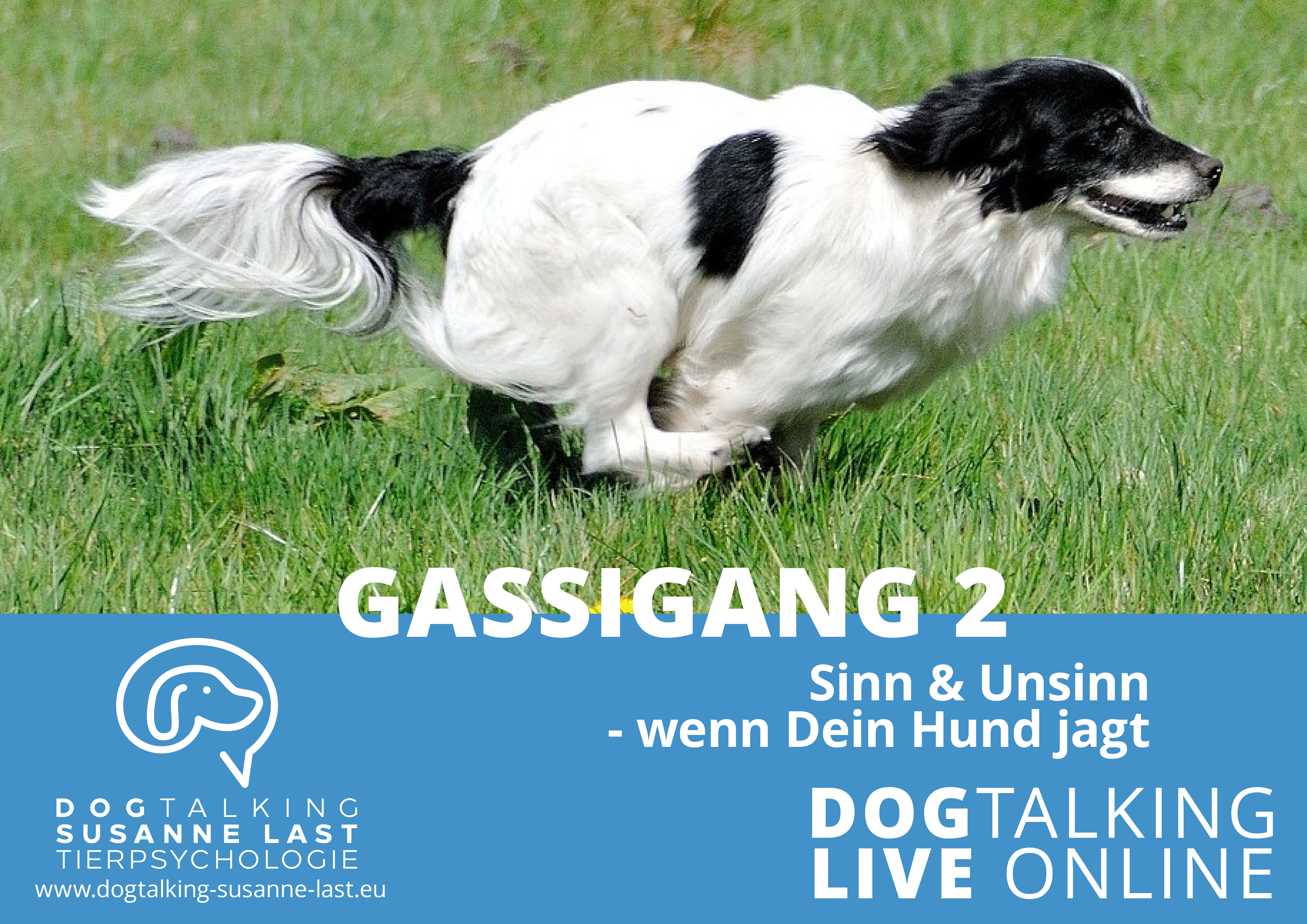 Gassigang 2 - Sinn & Unsinn - Wenn Dein Hund jagt
