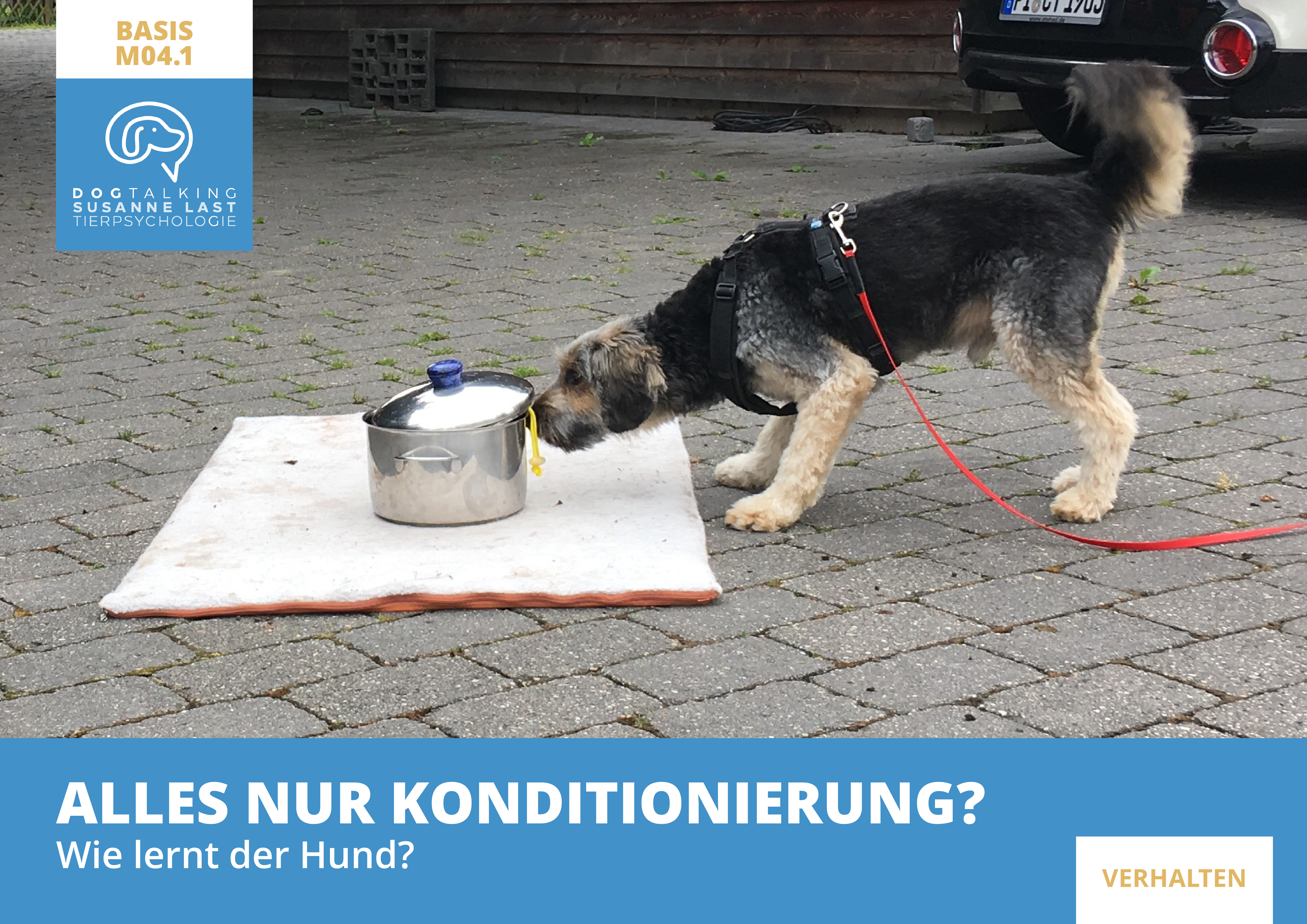 M04.1 Alles nur Konditionierung? Wie lernt der Hund?