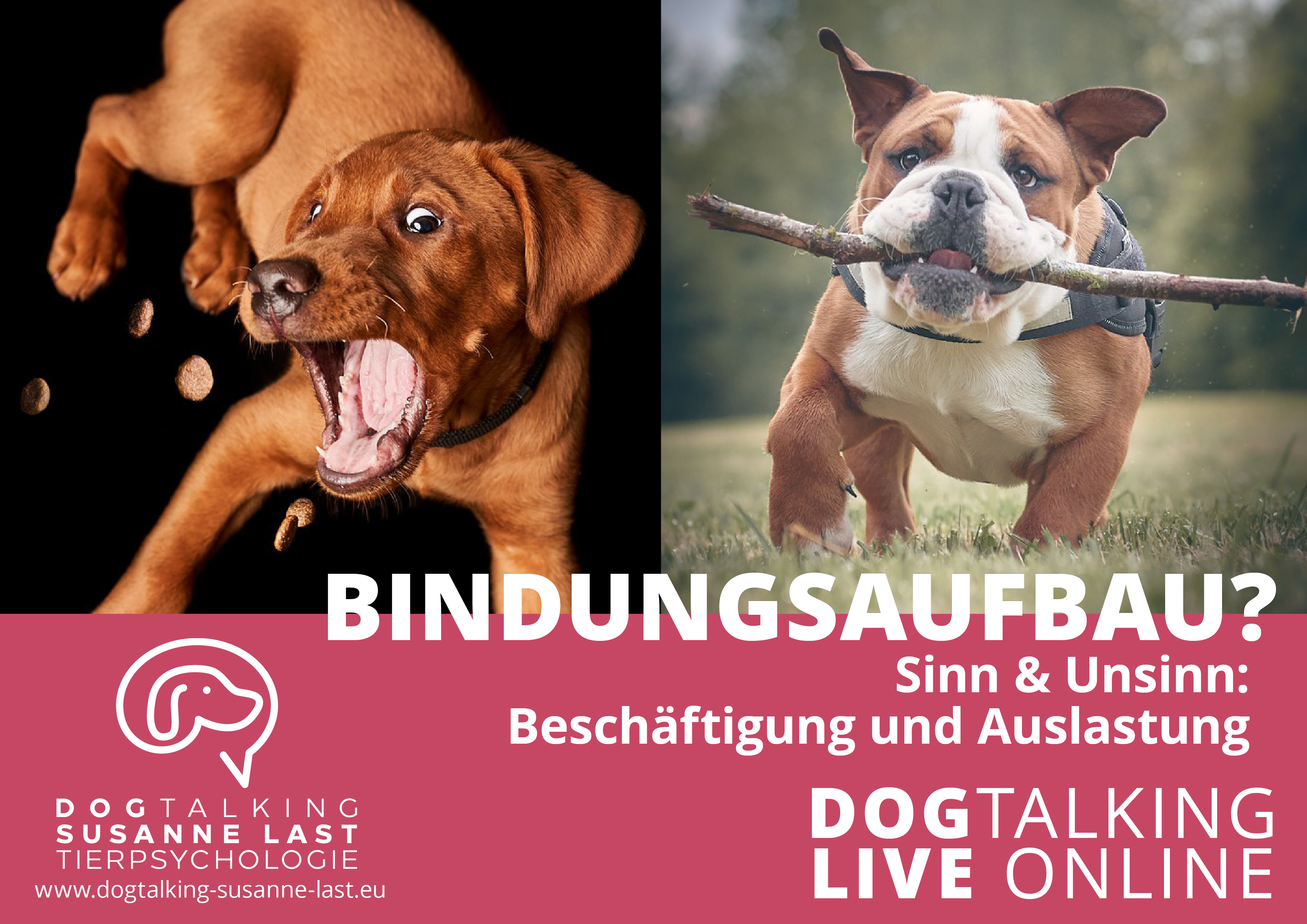 Bindungsaufbau? Sinn & Unsinn: Beschäftigung und Auslastung
