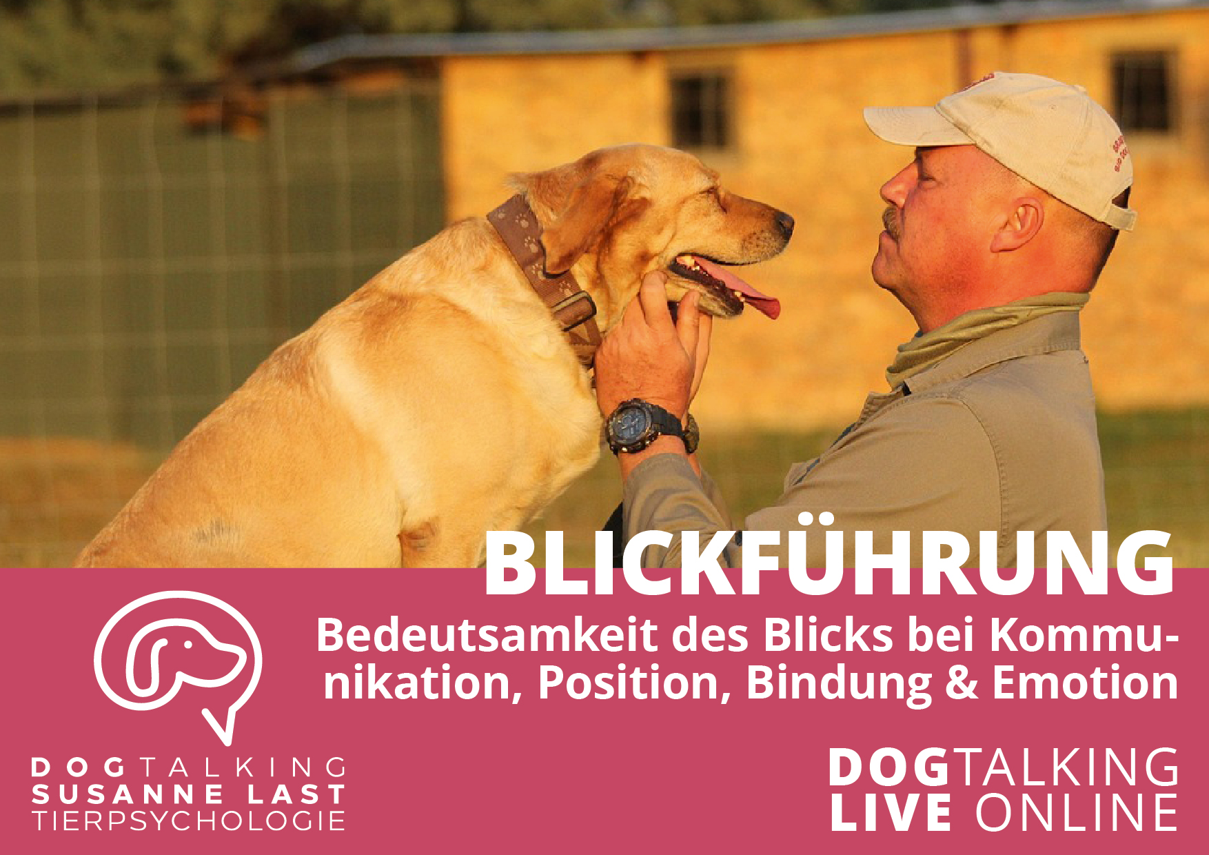Blickführung - Bedeutsamkeit des Blicks