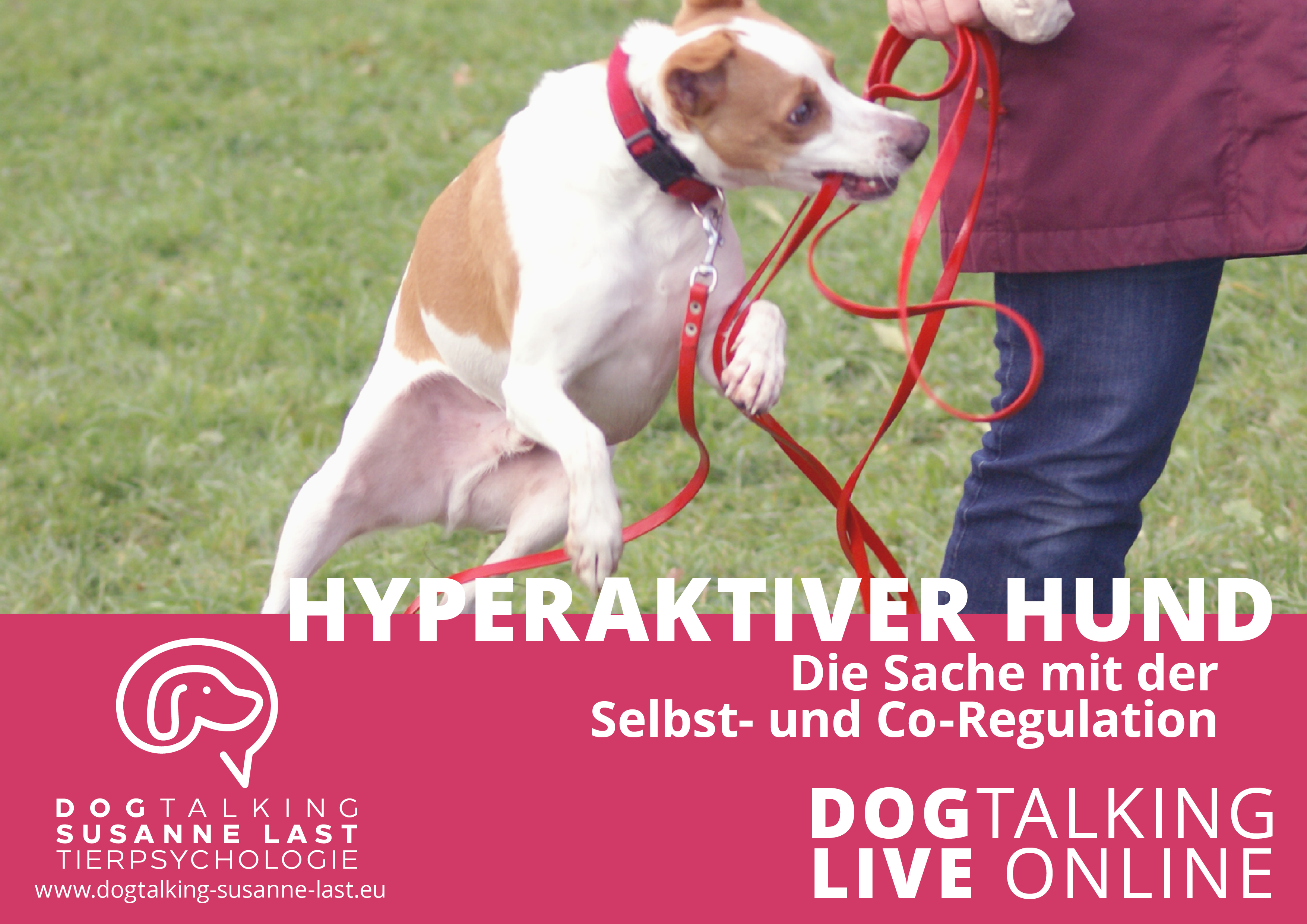 Hyperaktiver Hund - Die Sache mit der Selbst- und Co-Regulation