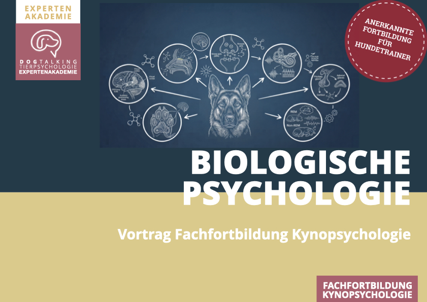 19.11.2026 Einführung in die Biologische Psychologie des Hundes - interaktiver Vortrag
