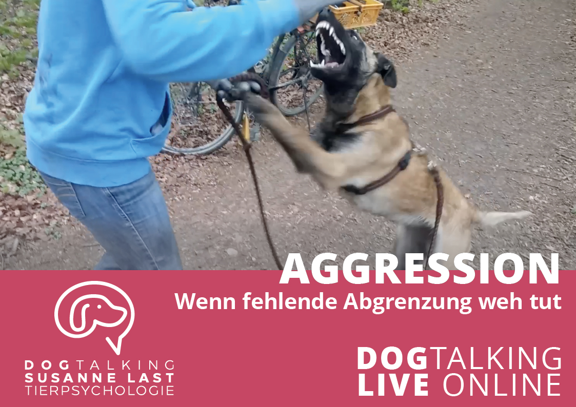 Aggression - wenn fehlende Abgrenzung weh tut