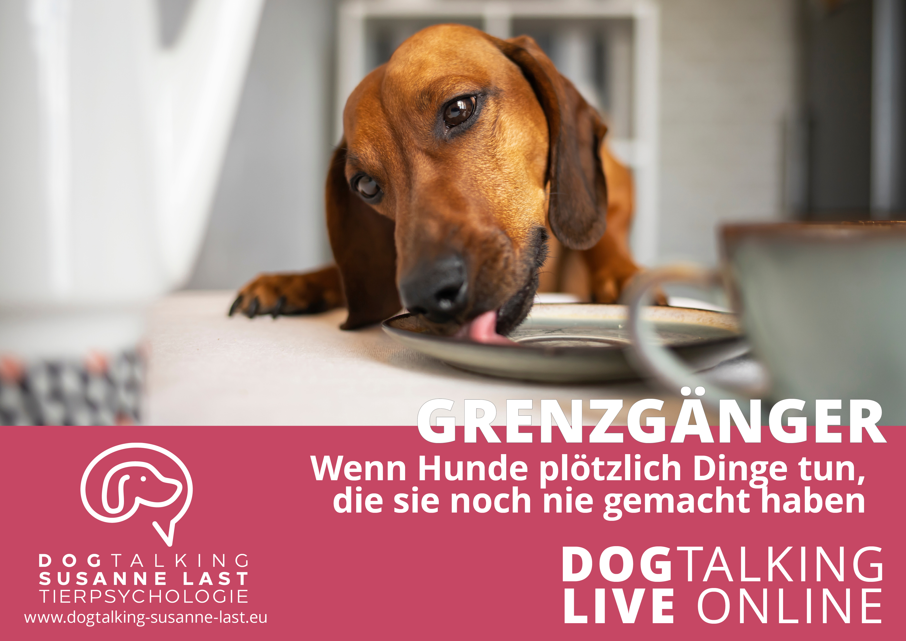 Grenzgänger - Wenn Hunde plötzlich Dinge tun, die sie noch nie gemacht haben 
