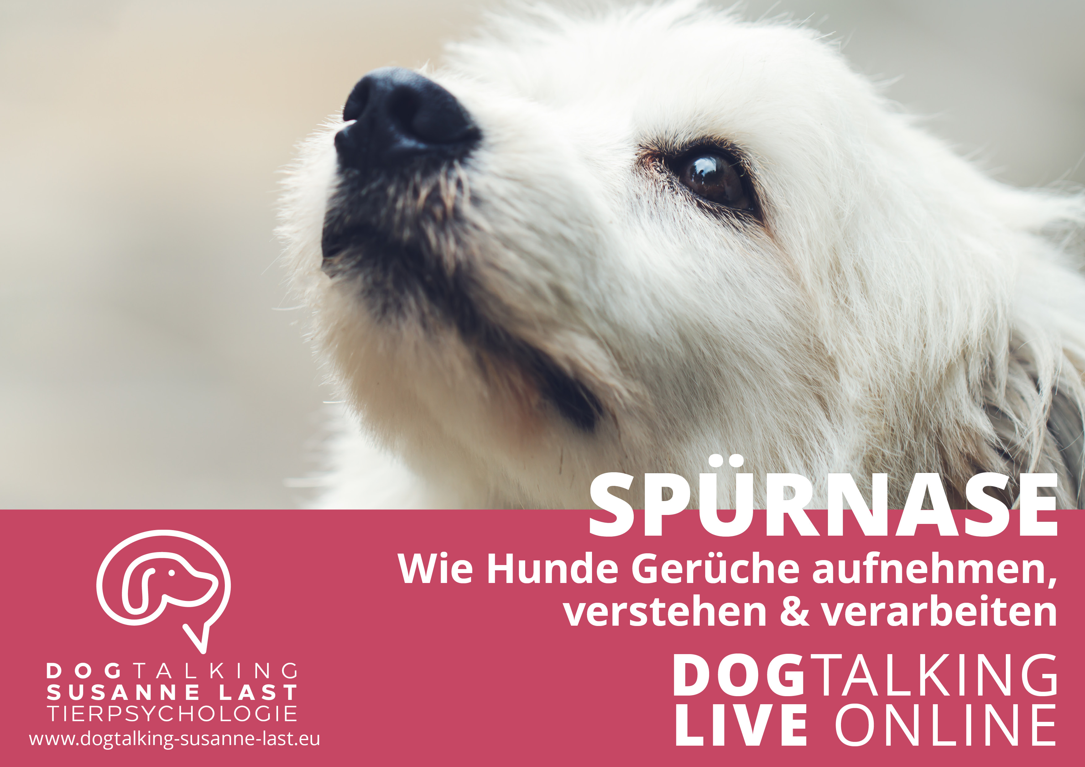Spürnase - wie Hunde Gerüche aufnehmen, verstehen und verarbeiten