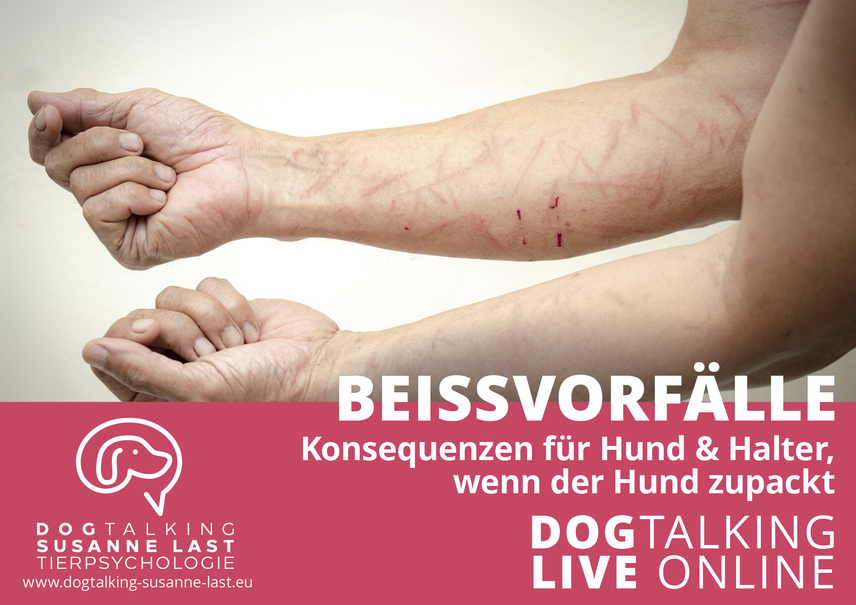 Beissvorfälle Konsequenzen für Hund & Halter, wenn der Hund zupackt