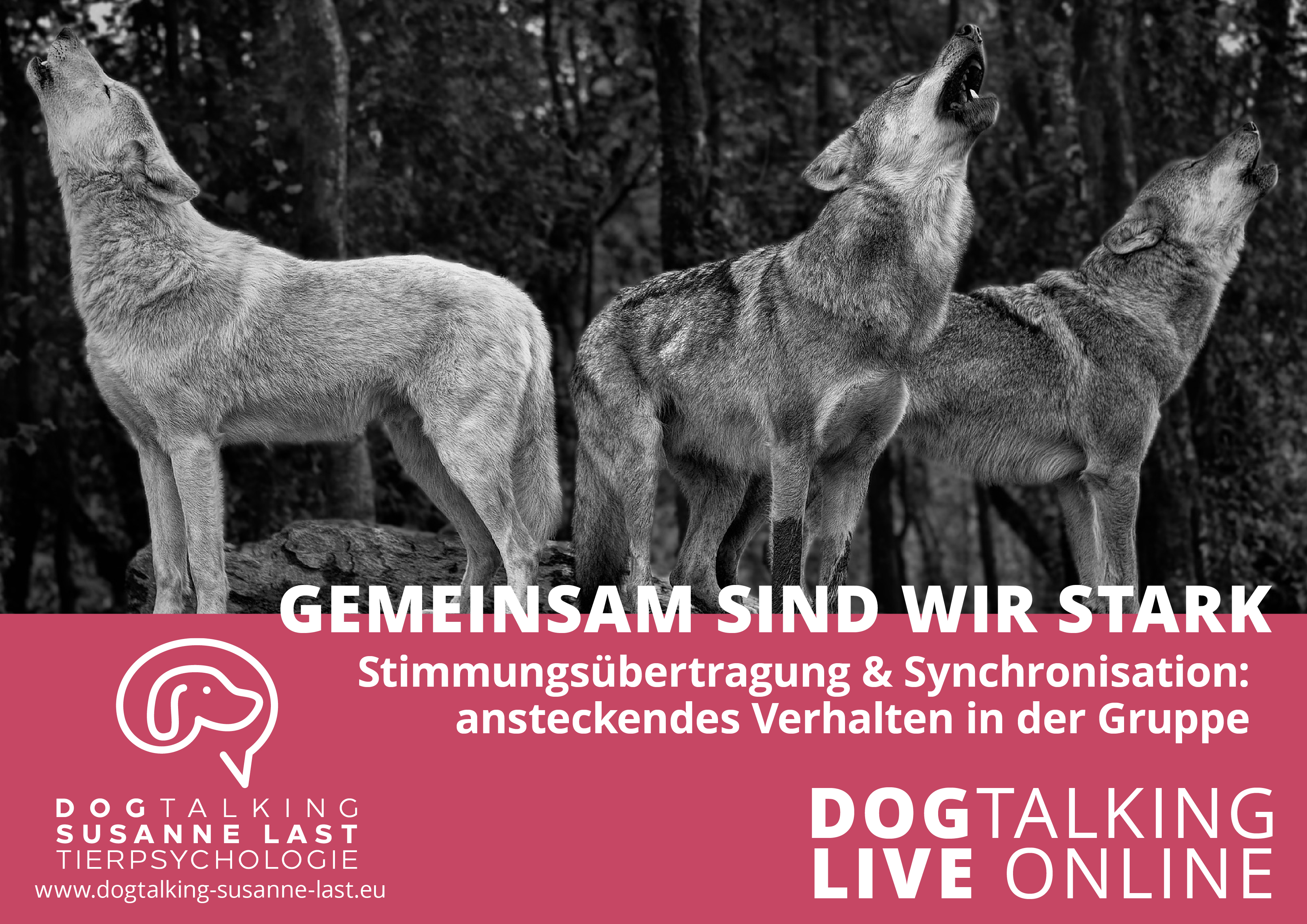 Gemeinsam sind wir stark - Stimmungsübertragung & Synchronisation ansteckendes Verhalten in der Gruppe