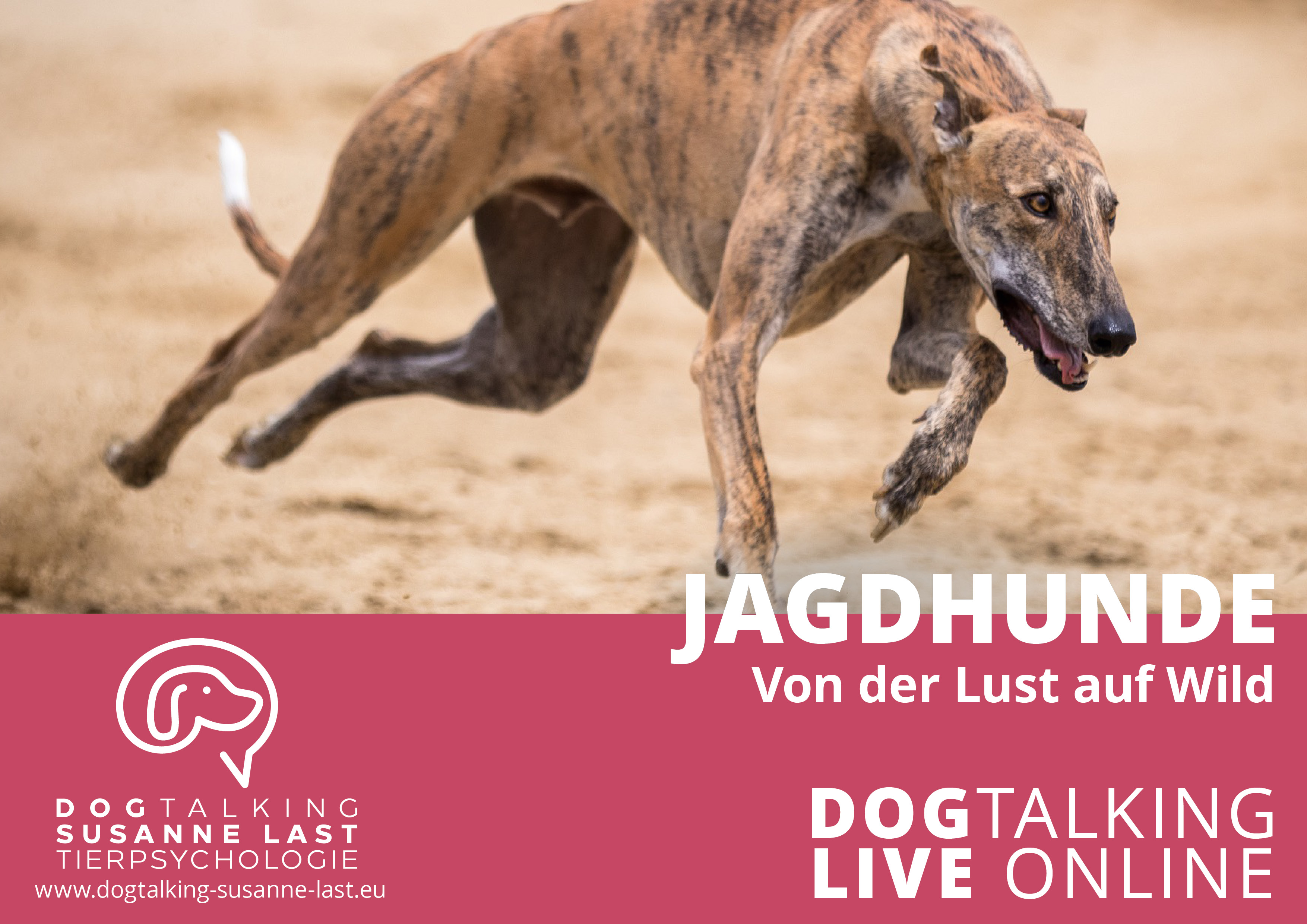 Jagdhunde - Von der Lust auf Wild 