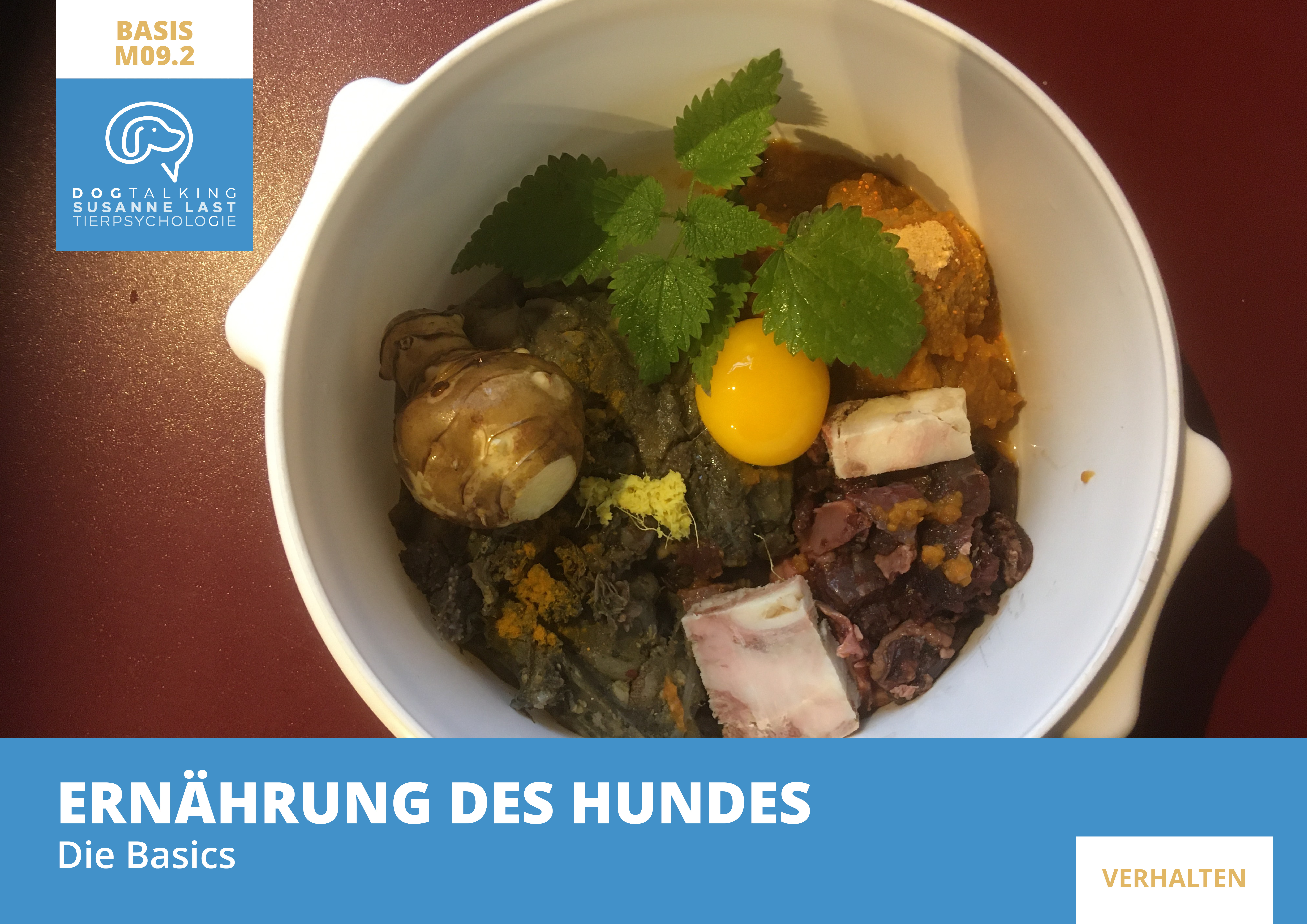 M09.2 Ernährung des Hundes - Die Basics