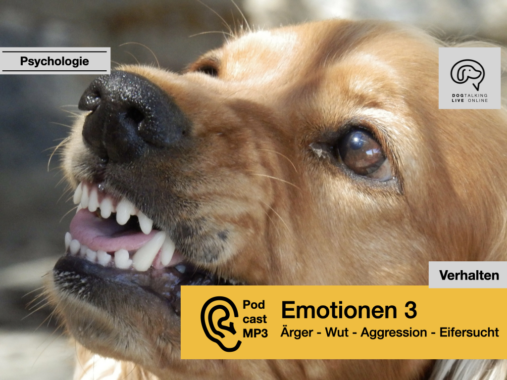 Audio Emotionen 3: Ärger, Wut und Aggression