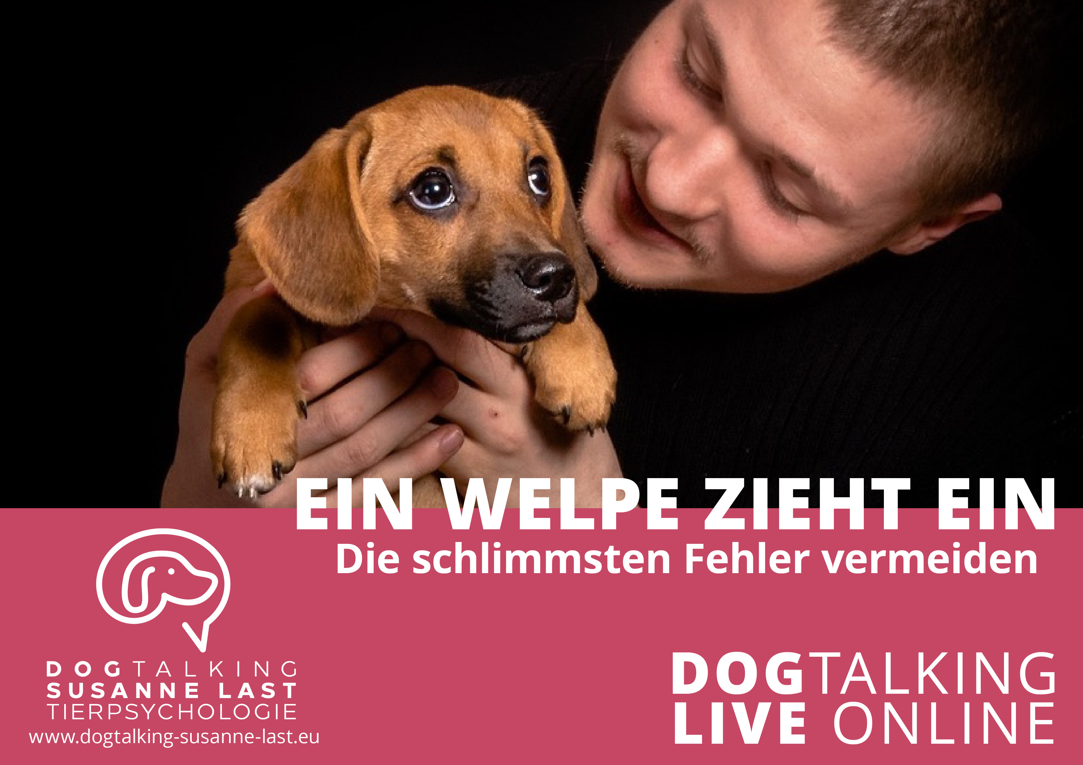 Ein Welpe zieht ein - die schlimmsten Fehler vermeiden