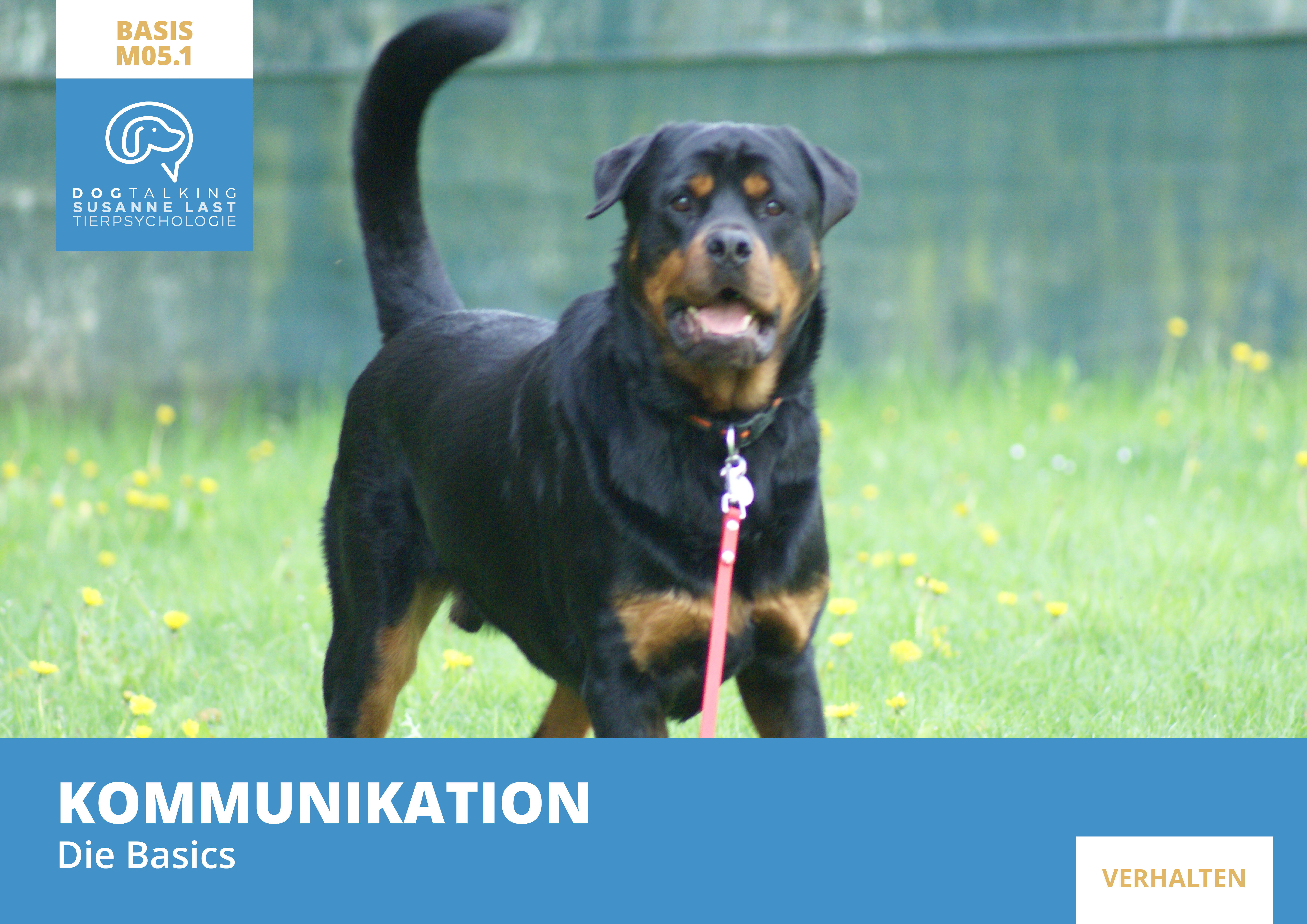 M05.1 Kommunikation - Die Basics