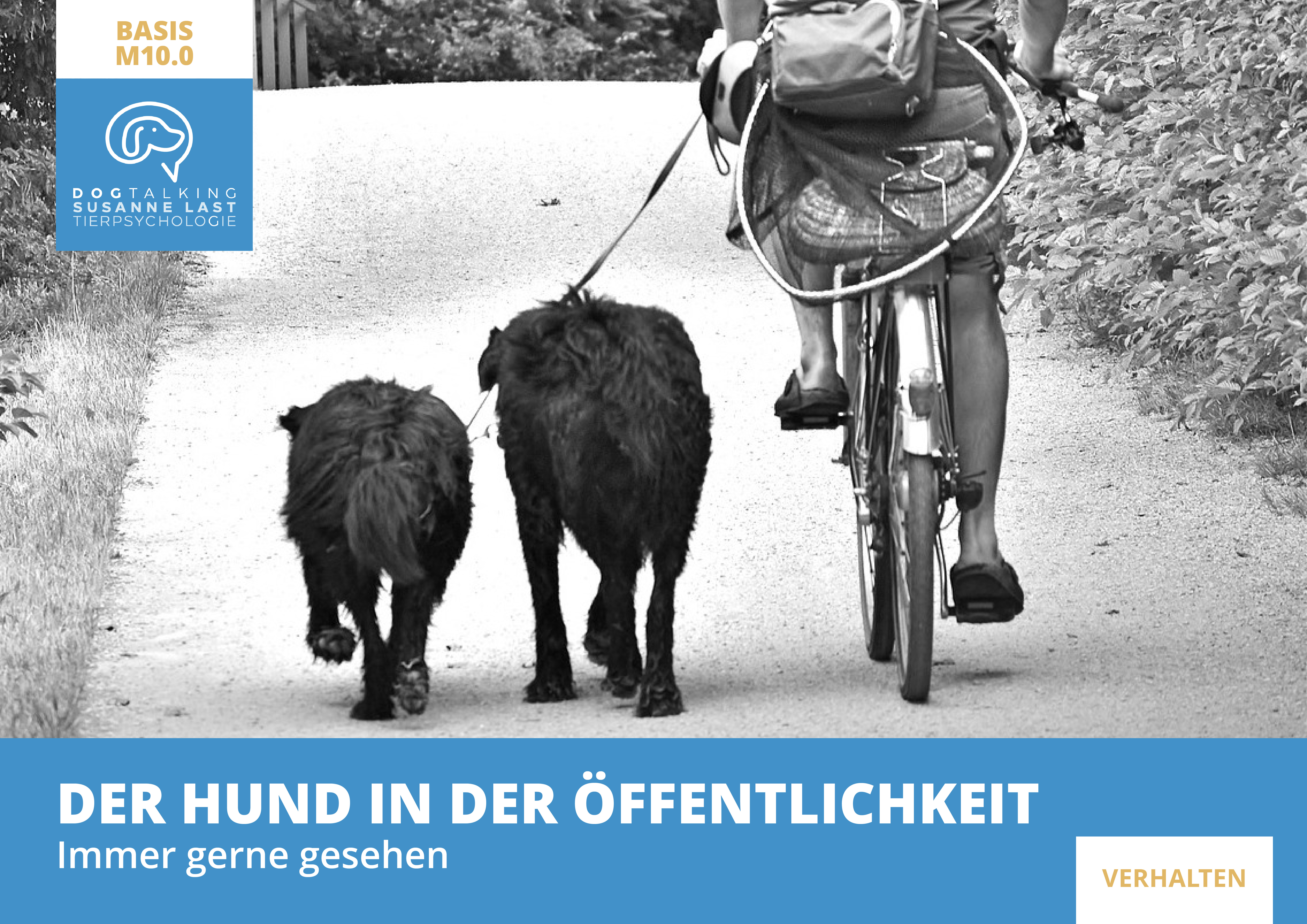 M10 Der Hund in der Öffentlichkeit - immer gerne gesehen